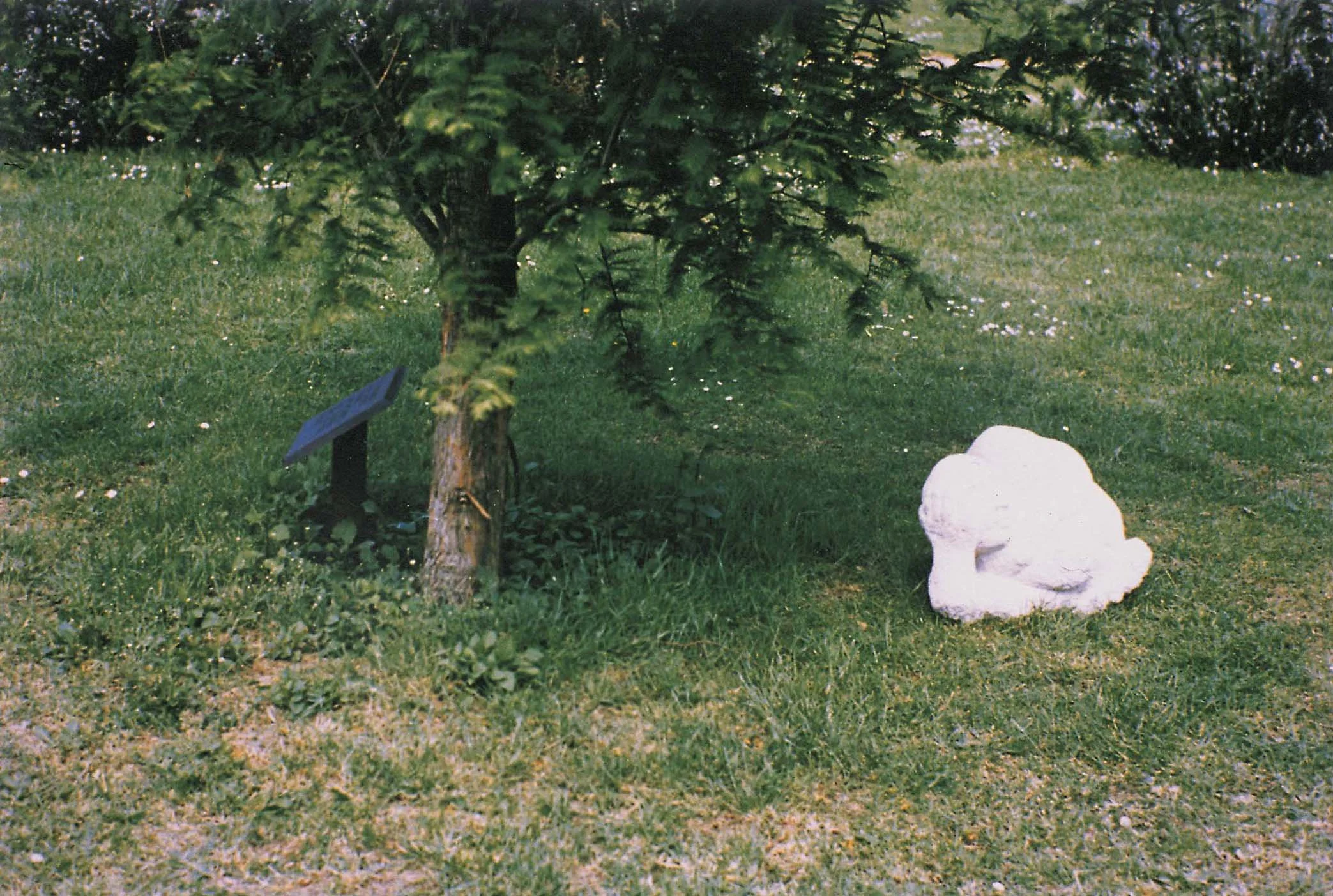 6 'Mapping the Terrain' 1996,.jpg
