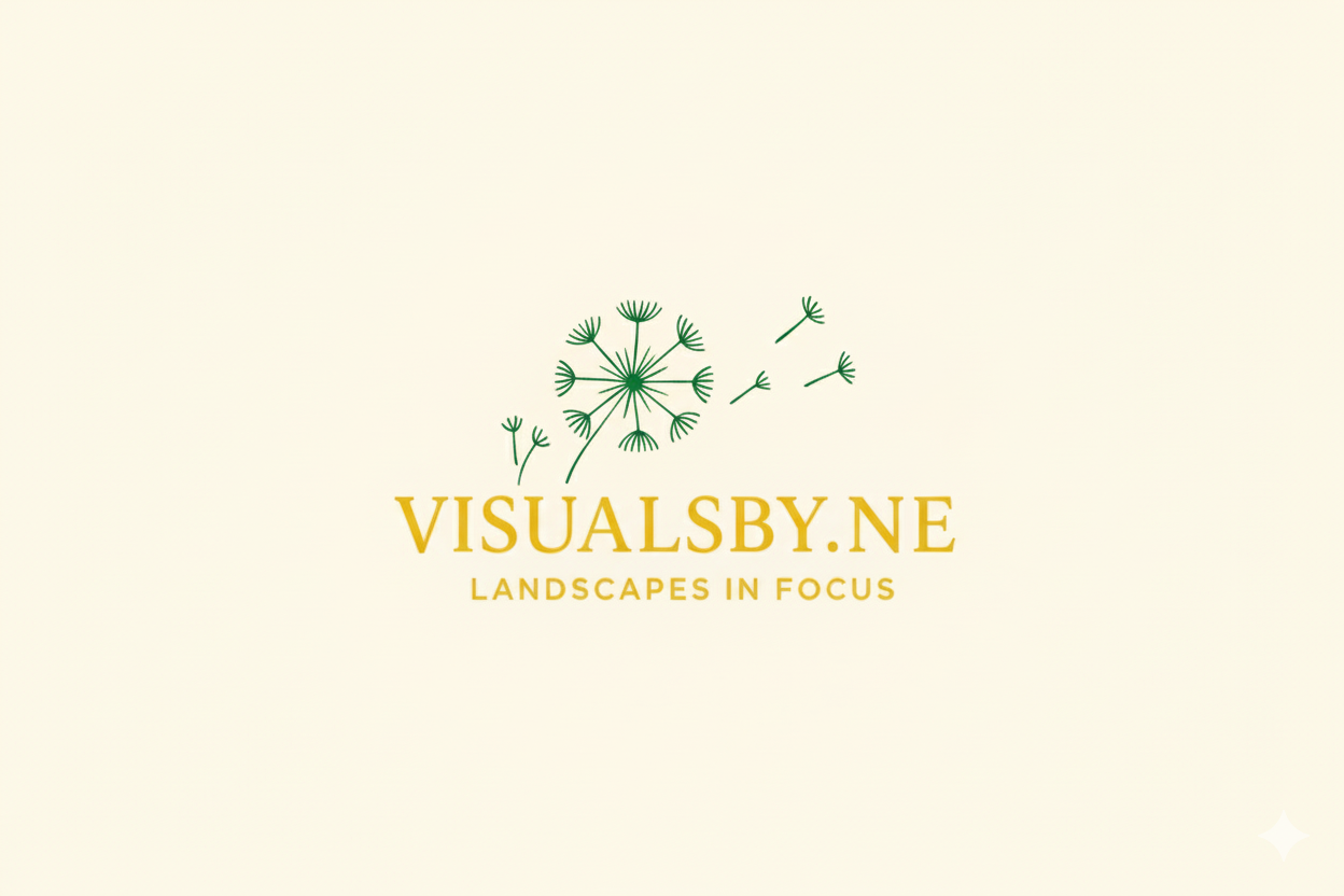 VISUALSBY.NE