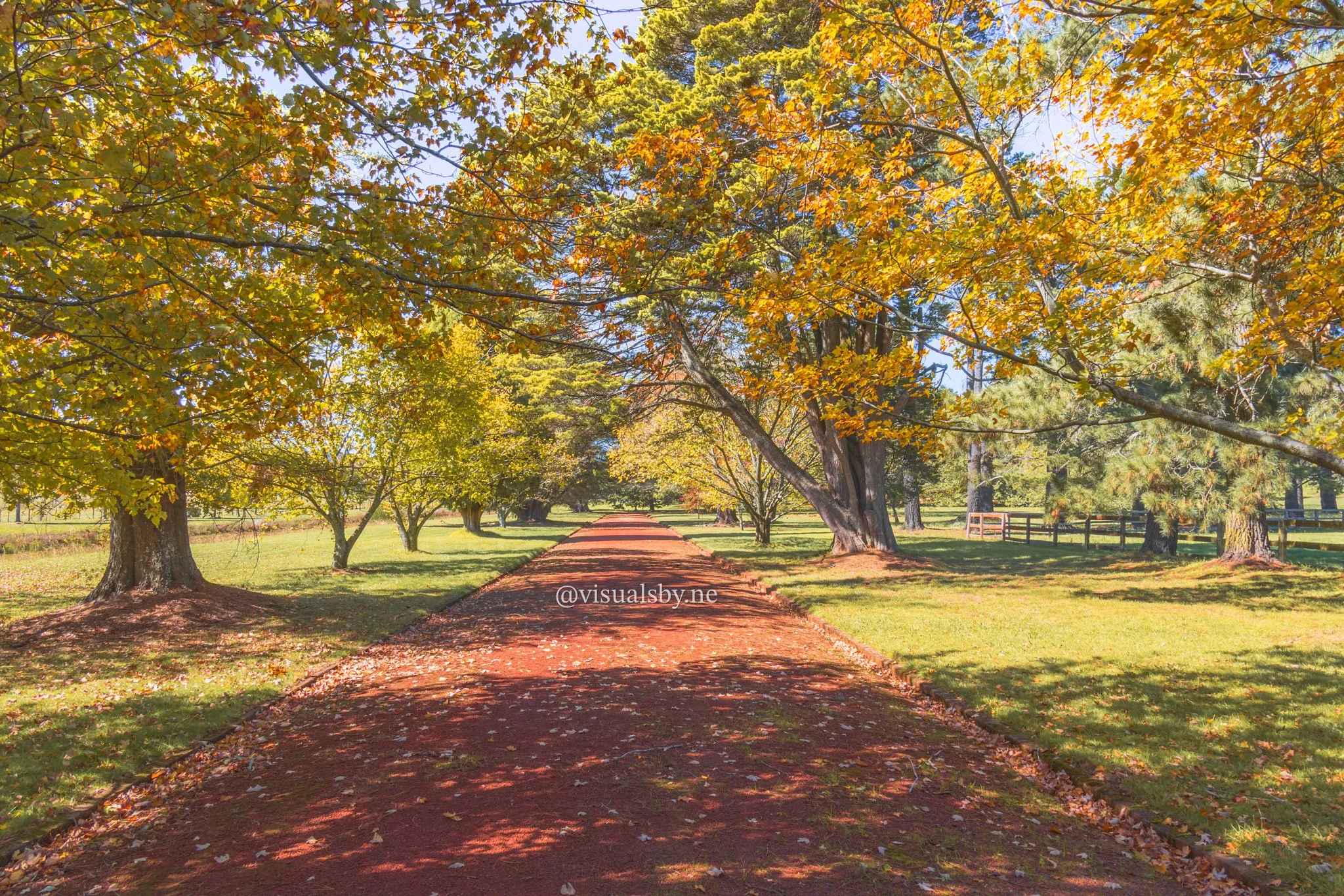 Autumn in Southern Highlands