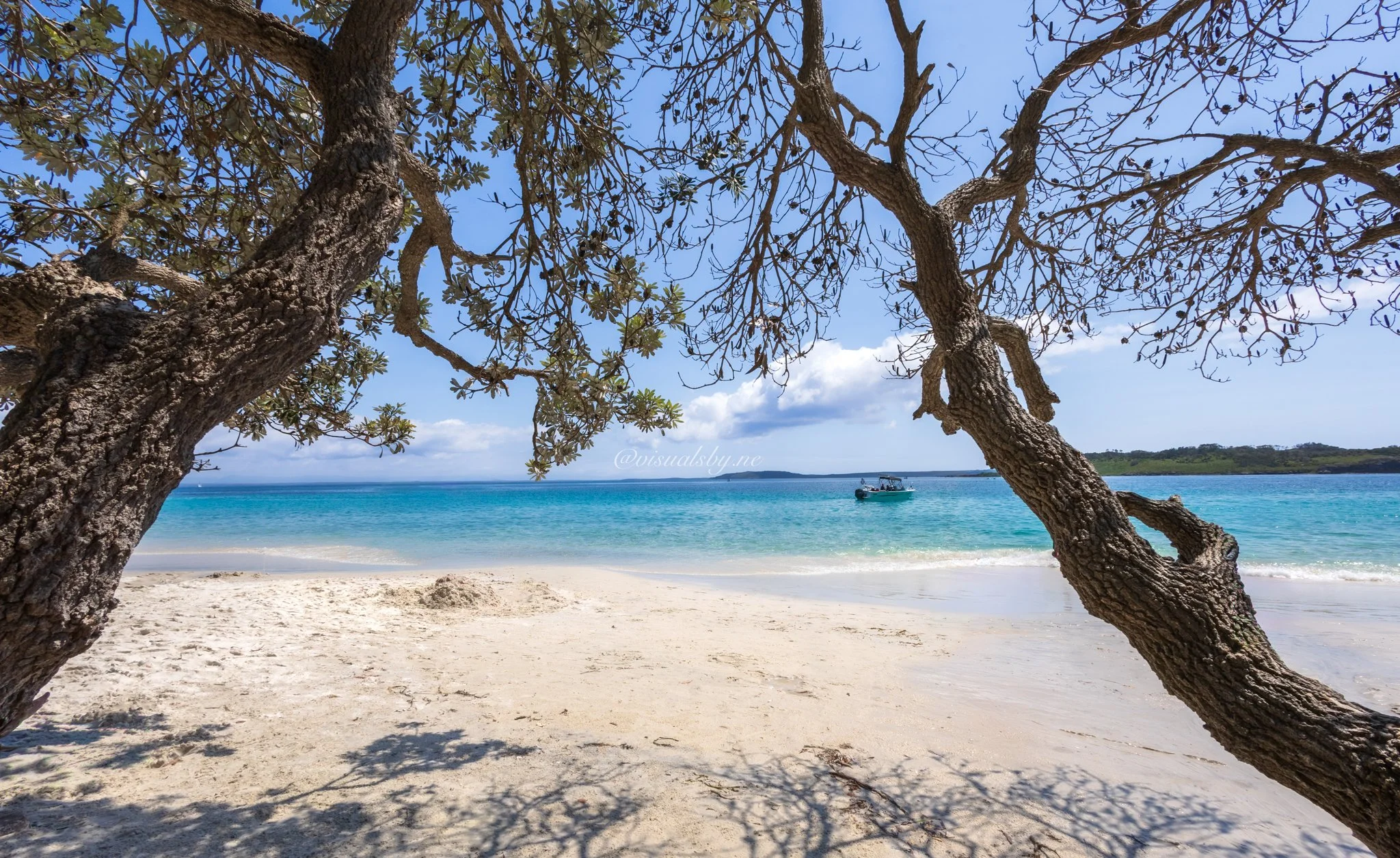 Anchored in Stillness