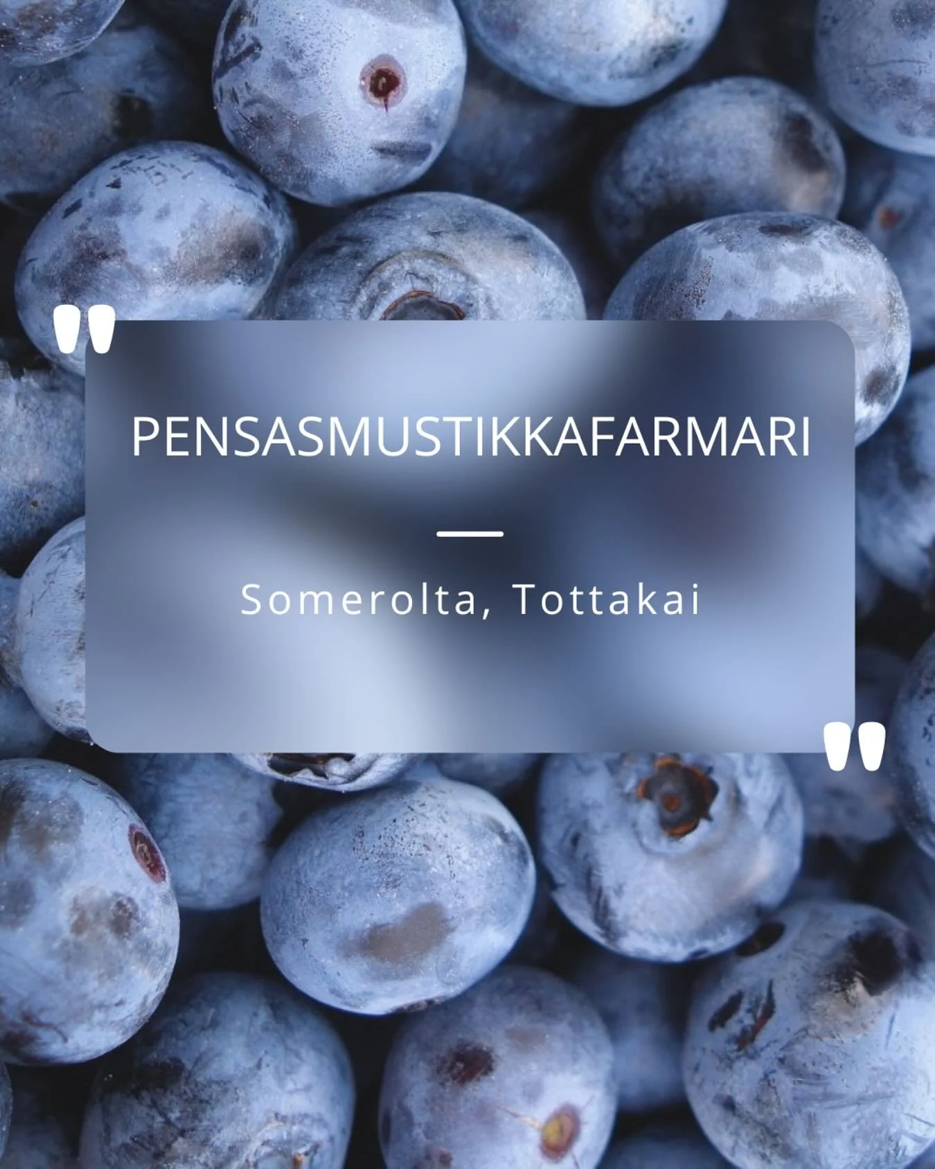 Kes&auml;n makuja odotellessa 😍🫐💙 #pensasmustikat #kotimaiset #superfood