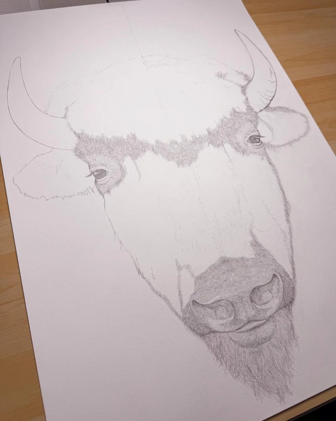 Bison. 🦬
My latest work in progress. 

www.jessesamuel.com.aun