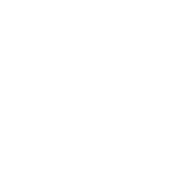 Versandvorbereitung inklusive Verpackung, Dokumente, Zollpapiere und zuverlässige Versandpartner