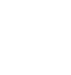 Vitamine, Mineralstoffe und Trend-Supplements als Ergänzung der täglichen Ernährung