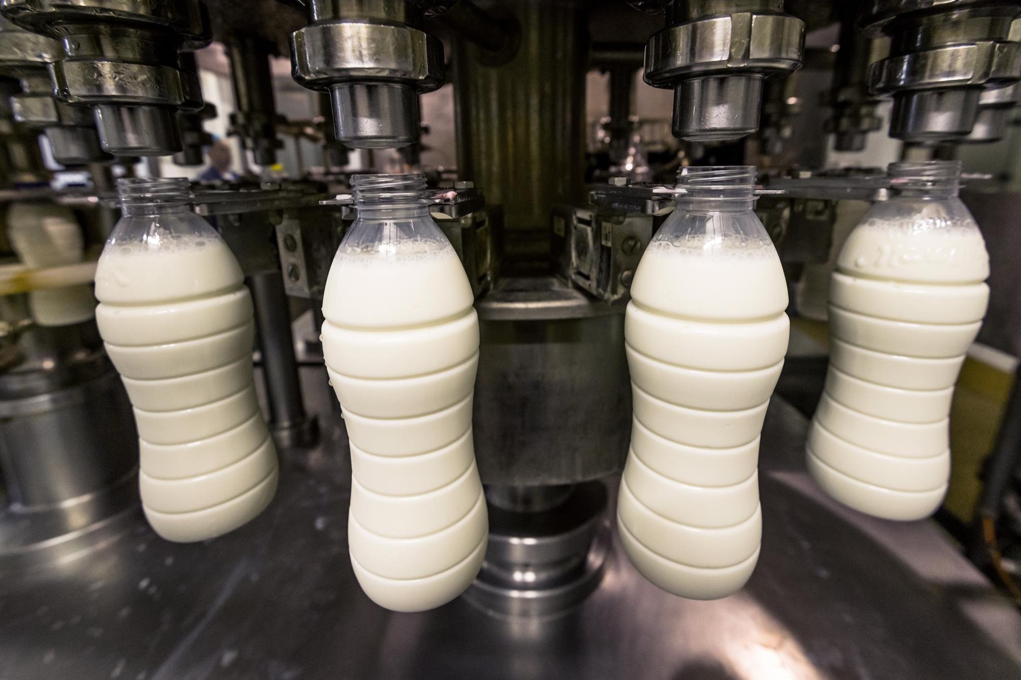 Milchprodukte in Kunststoffflaschen auf einer Abfülllinie für hygienische Verarbeitung und sichere Verpackung