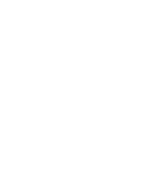 Abfüllung, Verpackung und Logistik effizient auslagern mit WisePack Solutions