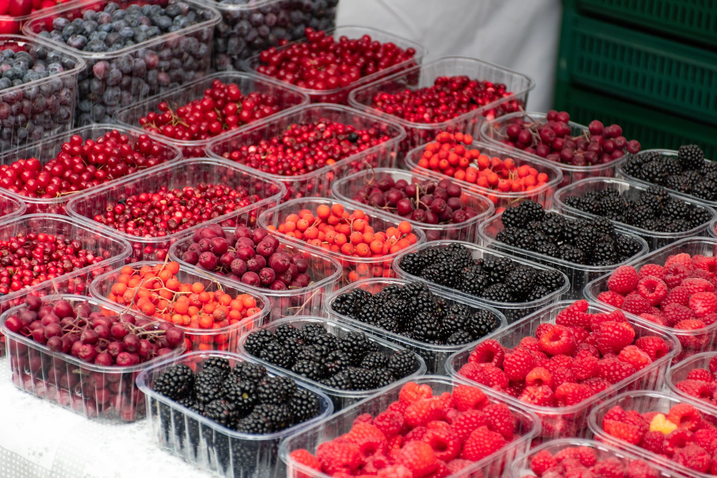 Obst und Gemüse in schützenden Verpackungen für Frische, Transportfähigkeit und Produktqualität