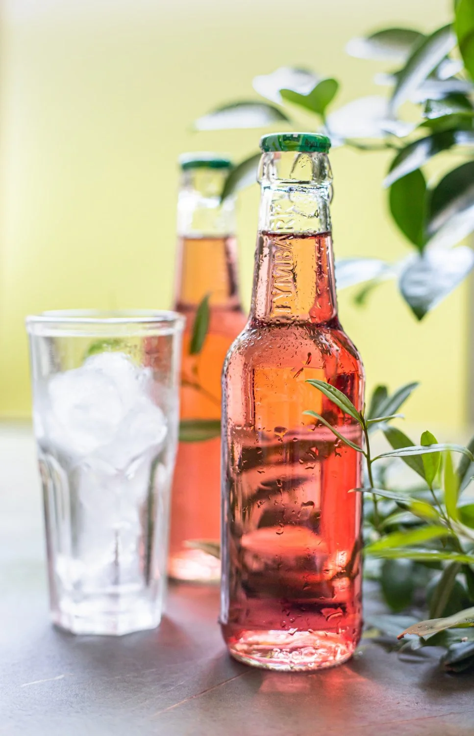 Glasflaschen für stille Getränke wie Säfte, Sirup, Shots, Smoothies und Teegetränke