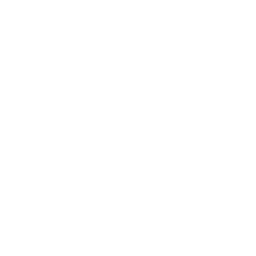 Dosen für Superfoods, Vitamine, Nahrungsergänzung, Eiweißpulver, Sportnahrung, Tee, Kaffee und Gewürze