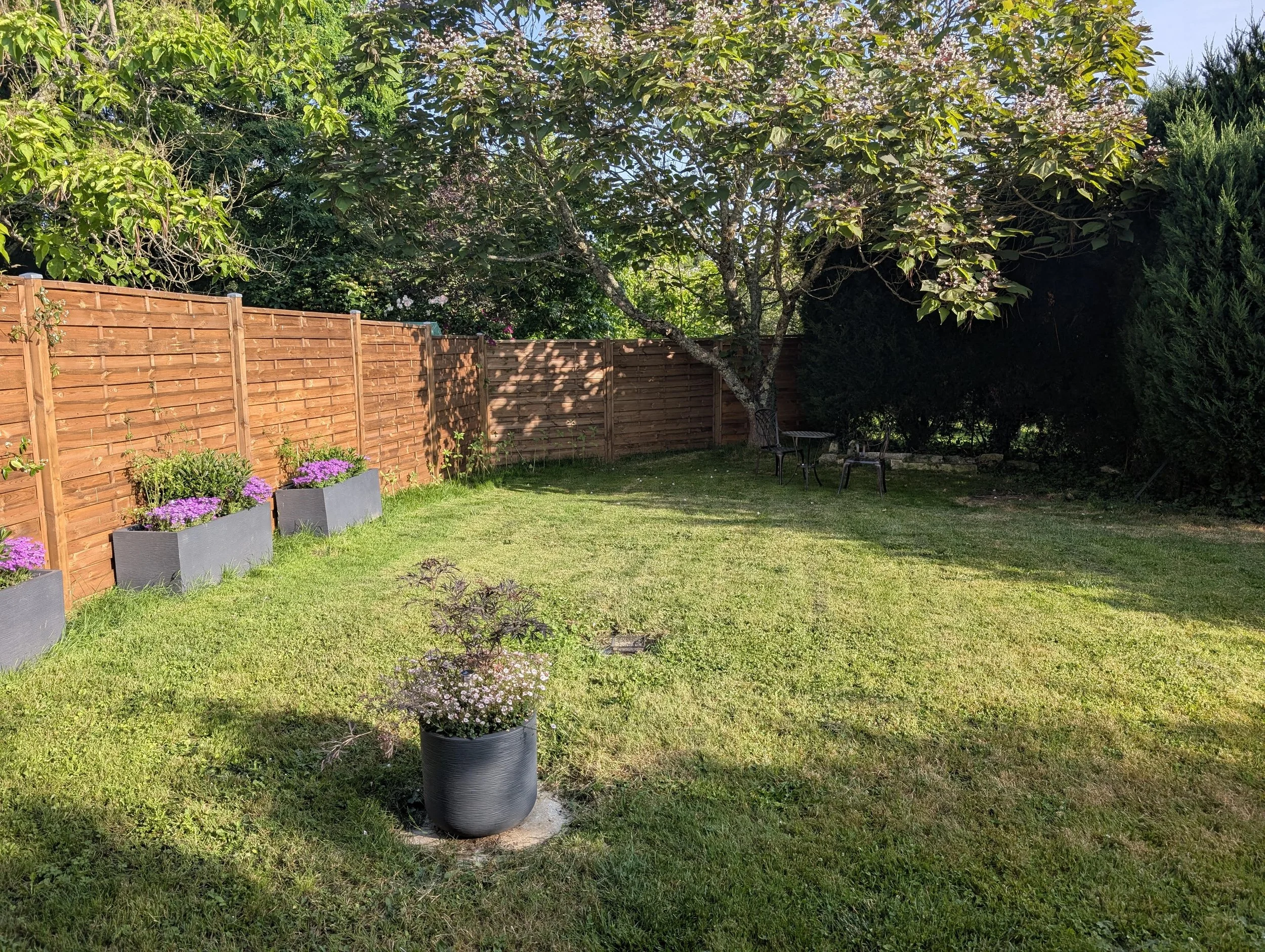 A peaceful backyard with a grassy lawn, potted purple flowers, a wooden fence, and large leafy trees providing shade.