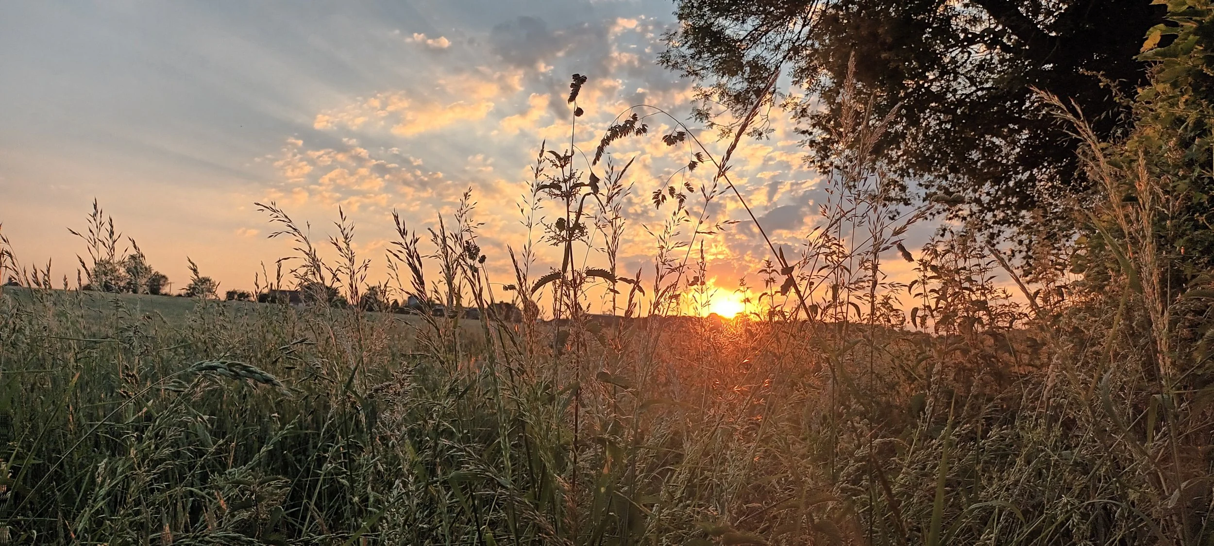 Watch the beautiful sunsets and wildlife on the many walks around Pougé.