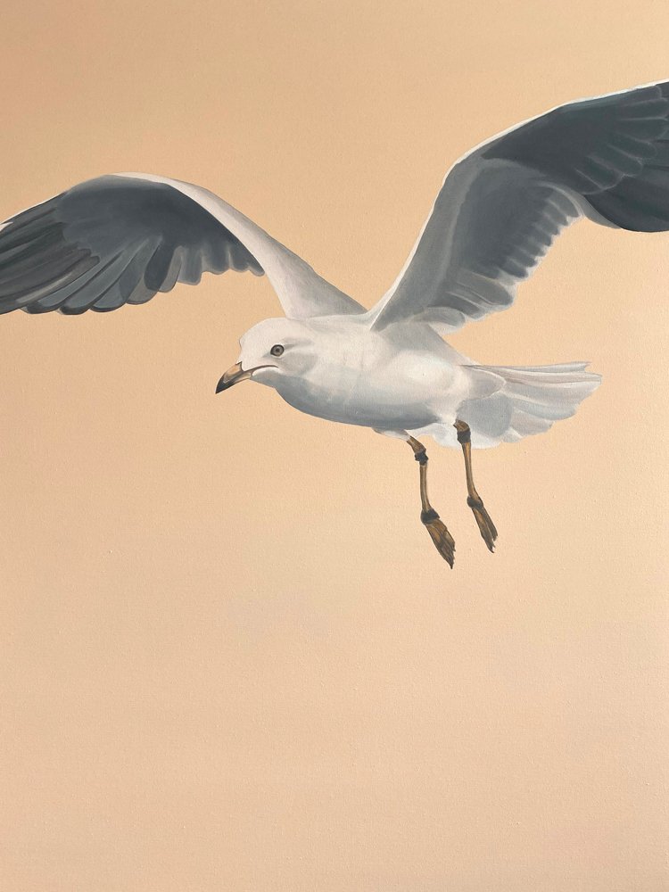 Jonathan Livingston Seagull, 2022, oil on canvas, 102 x 76cm