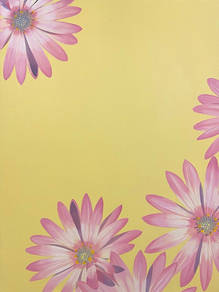 African Daisies, 2022, oil on canvas, 102 x 76cm