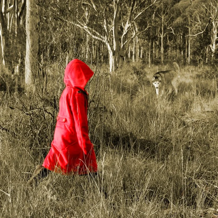 Walking Through the Forest, 2013