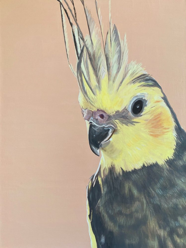 Squarky, 2023, oil on canvas, 61 x 46cm