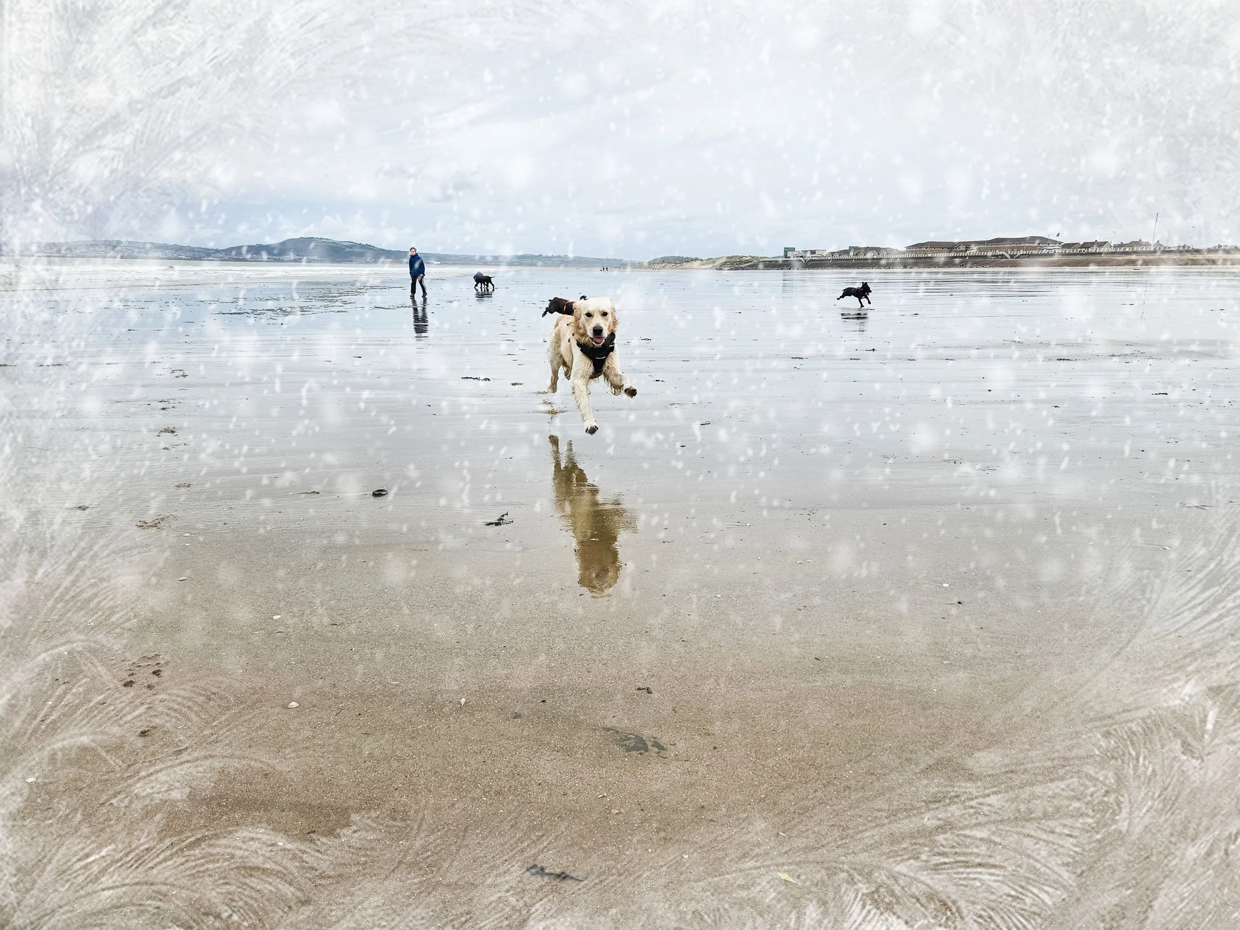 Christmas Brean beach social 