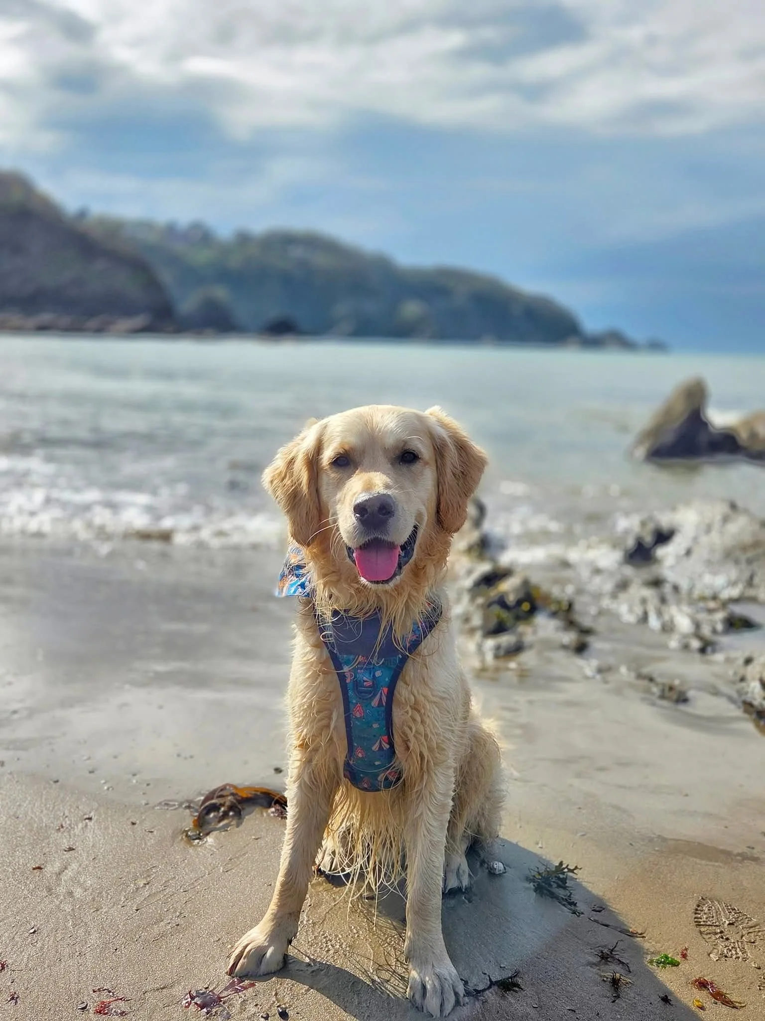 Group Walk - Watergate Bay, Cornwall