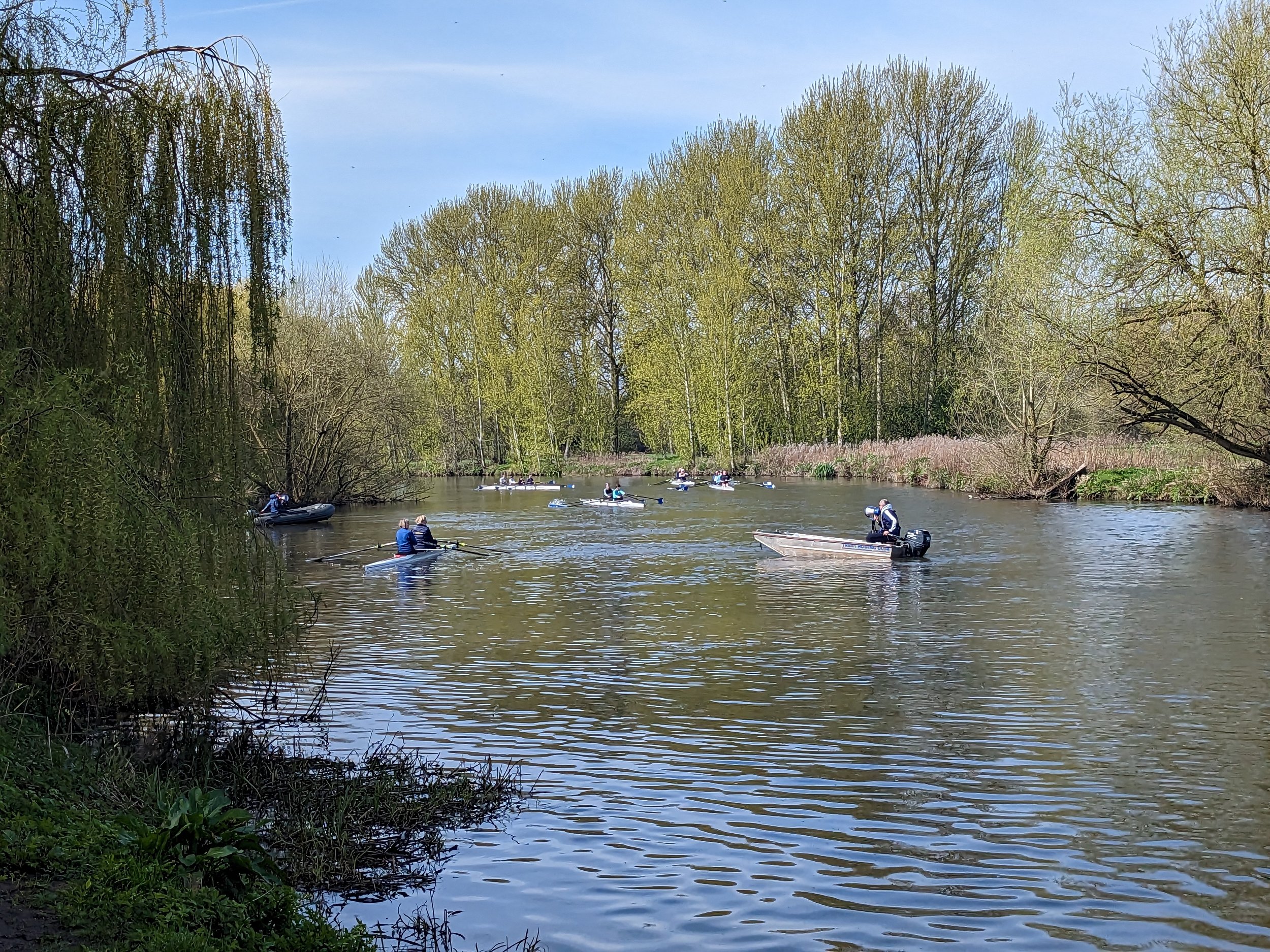 People water skiing on a river surrounded by trees with green leaves, under a blue sky.