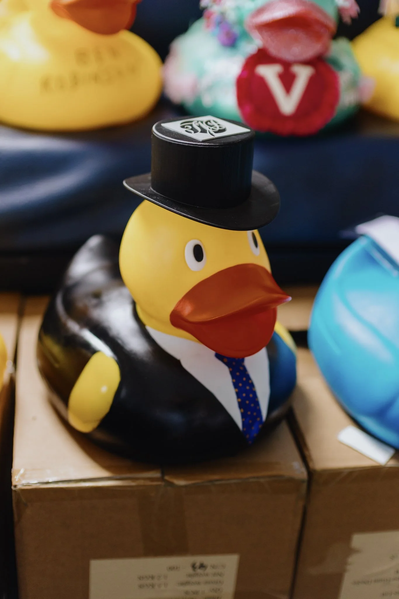 In SECOND place a very dapper duck courtesy of Parry Funeral Directors. Beautifully attired and he’s not afraid to get his jacket wet. Well done!
