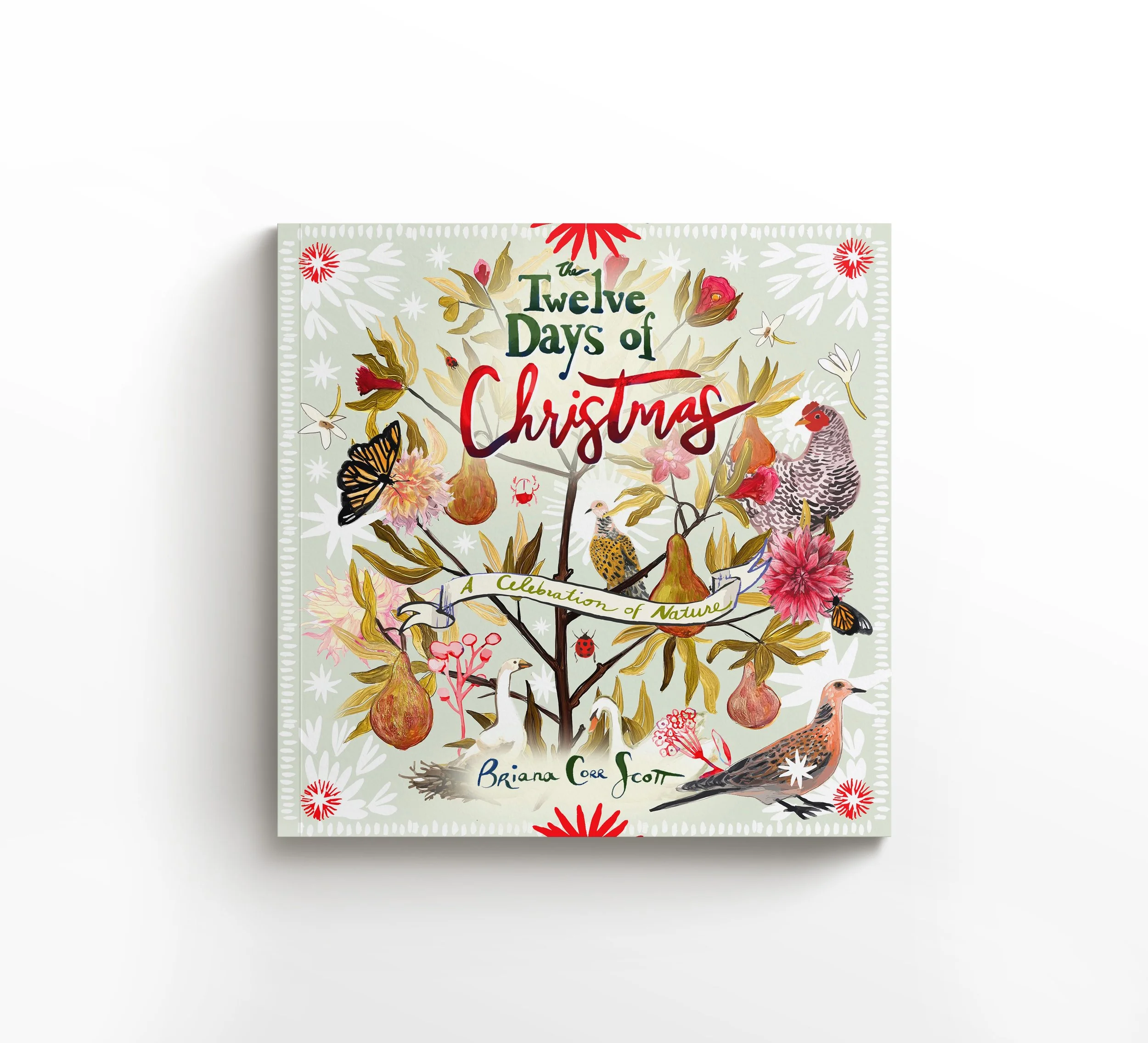 A nature-inspired retelling of the classic holiday song, with lush illustrations by Briana Corr Scott. Celebrate Christmas through the beauty of the natural world.