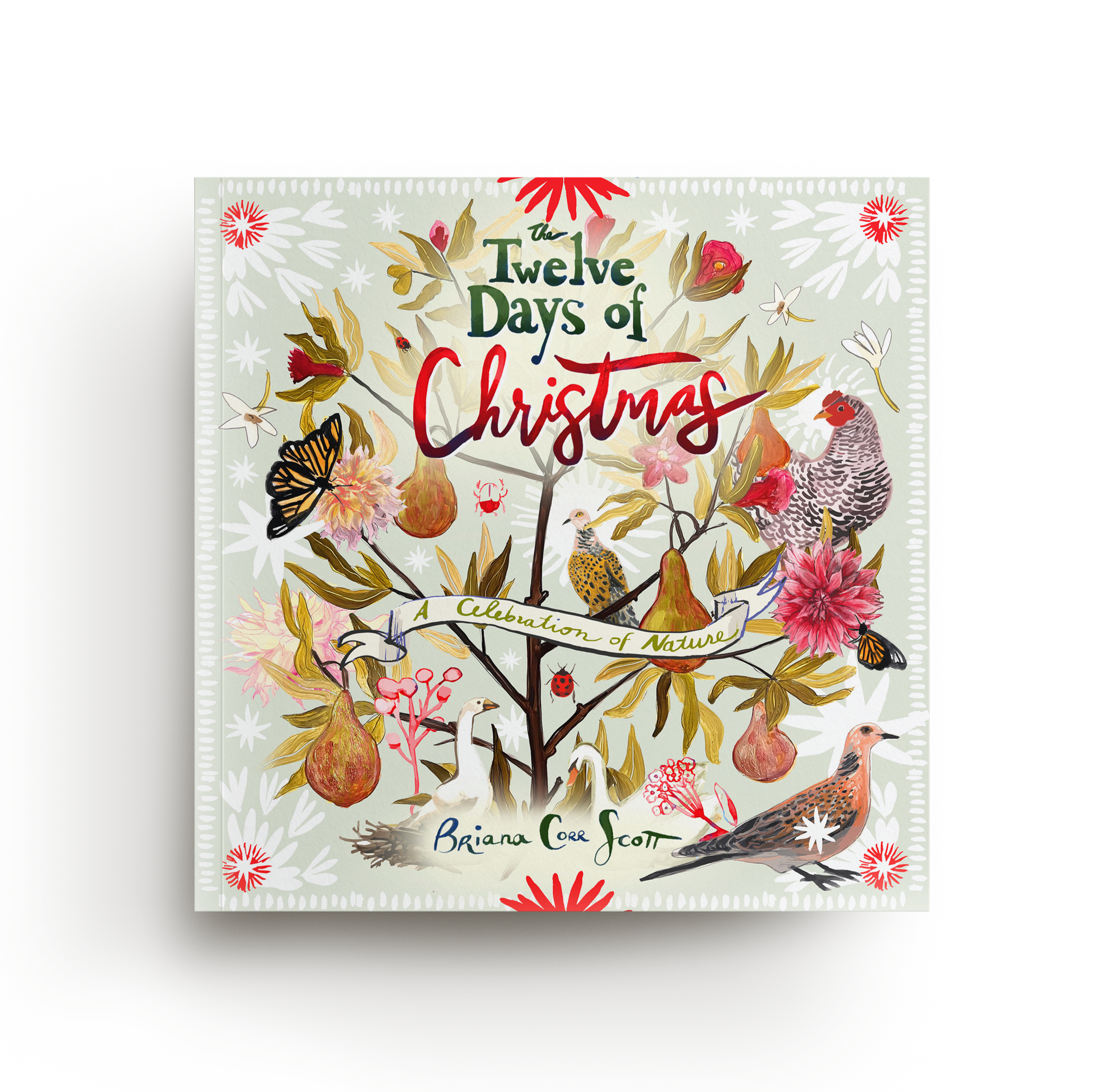 Book cover titled The Twelve Days of Christmas: A Celebration of Nature by Briana Corr Scott, featuring an illustrated tree with birds, flowers, and insects in a festive style.