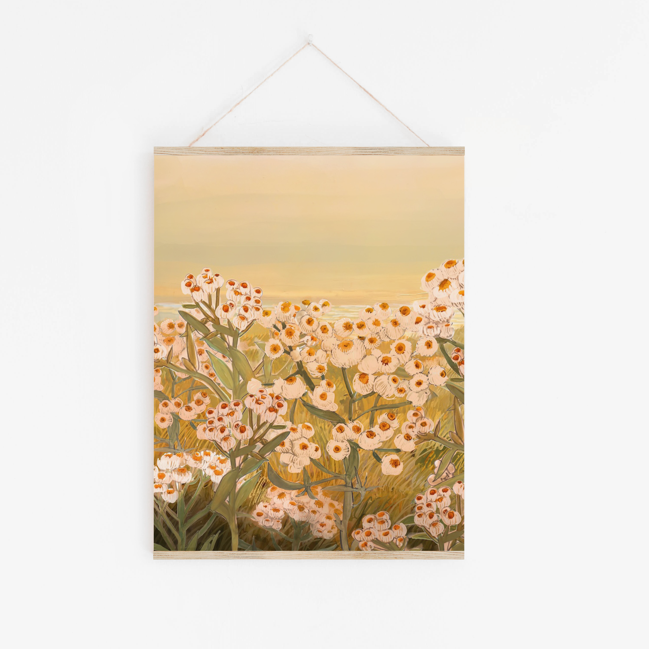 "Pearly Everlasting" botanical art print featuring clusters of soft white and pink wildflowers with an orange yellow glowing sky archival-quality illustration by Briana Corr Scott (Copy)
