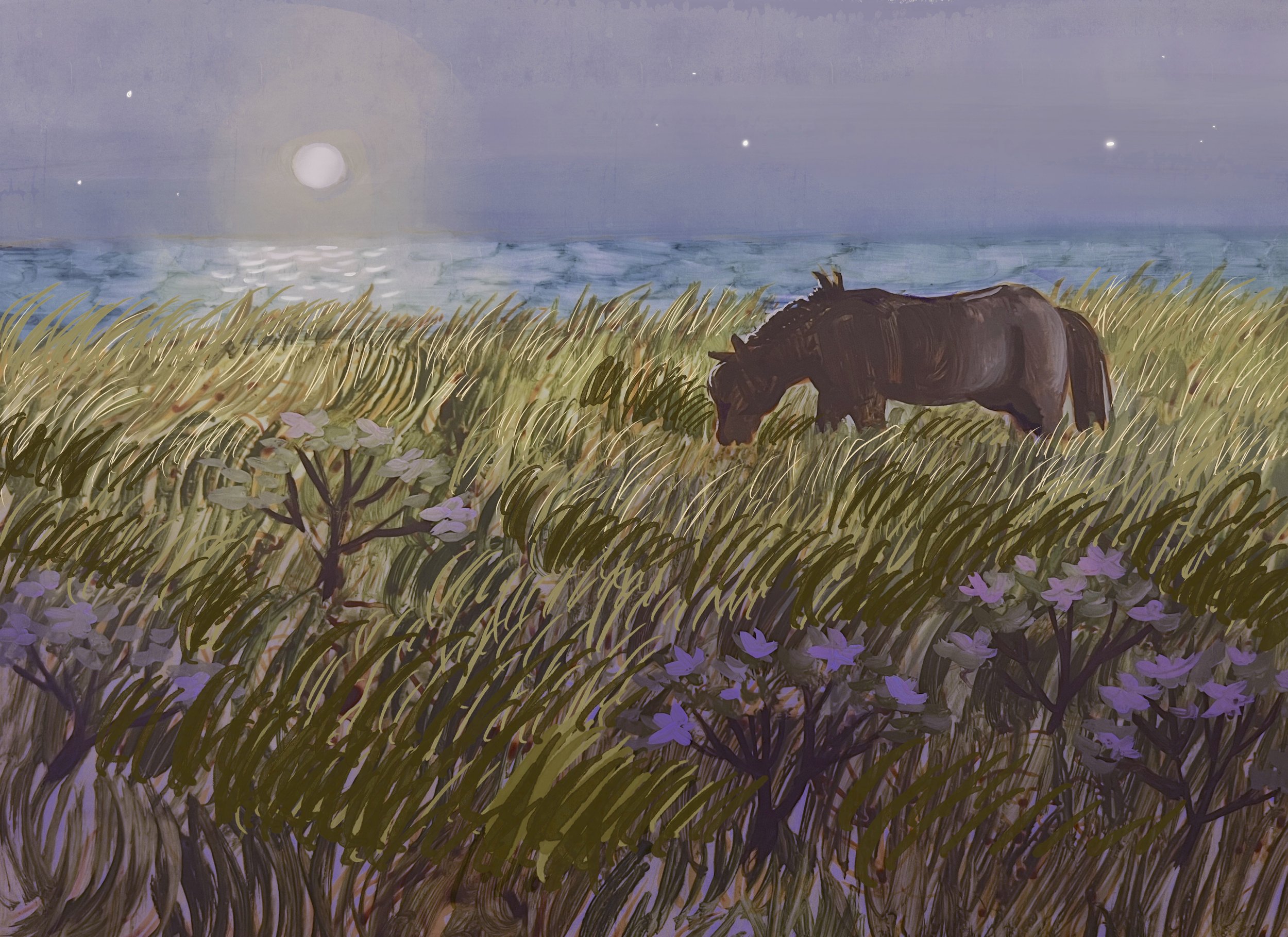 Horse at Night