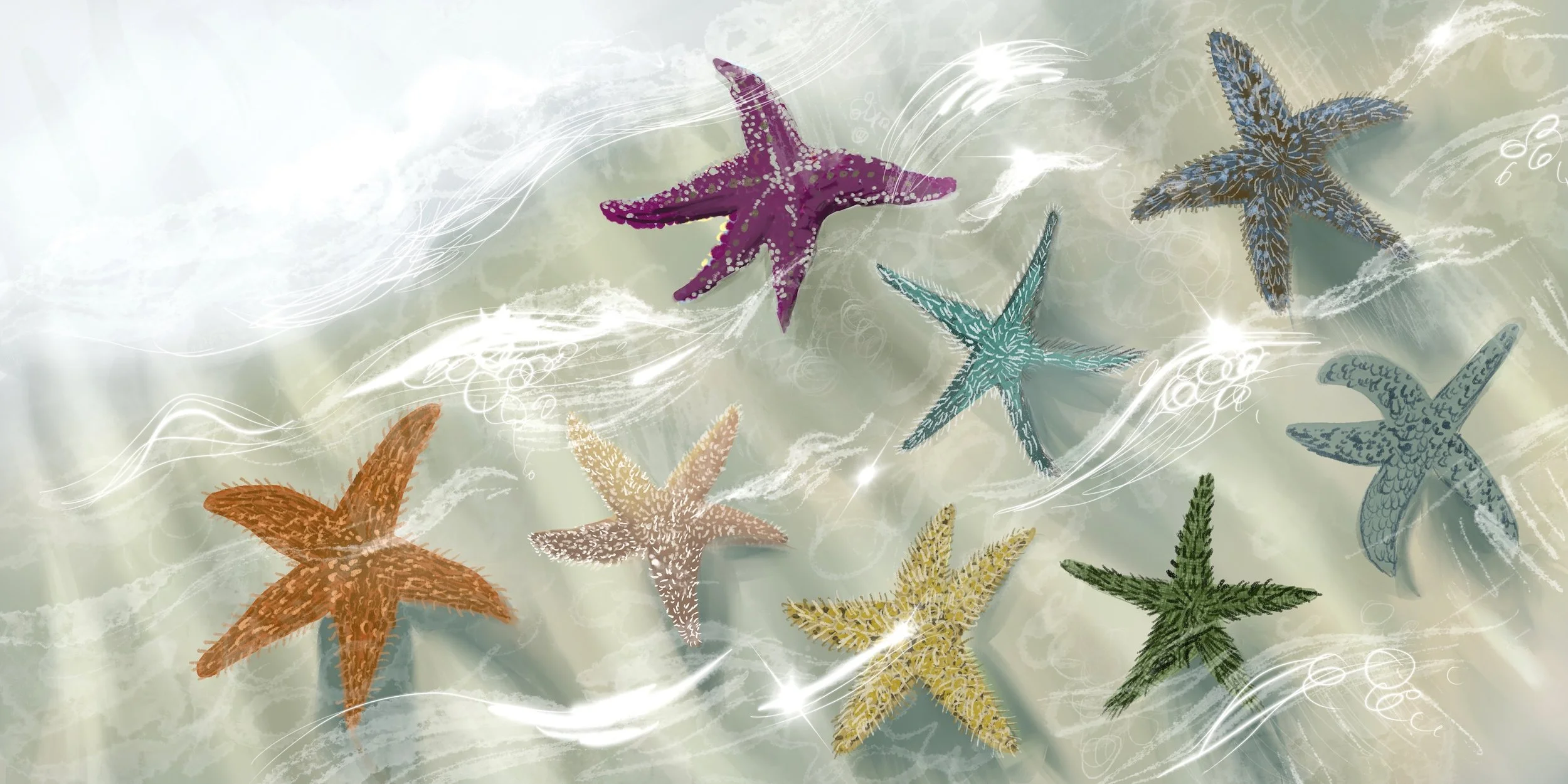 starfish-briana-corr-scott