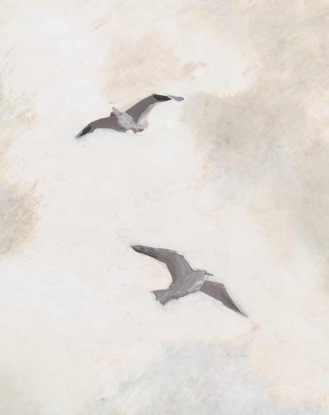Sea Birds