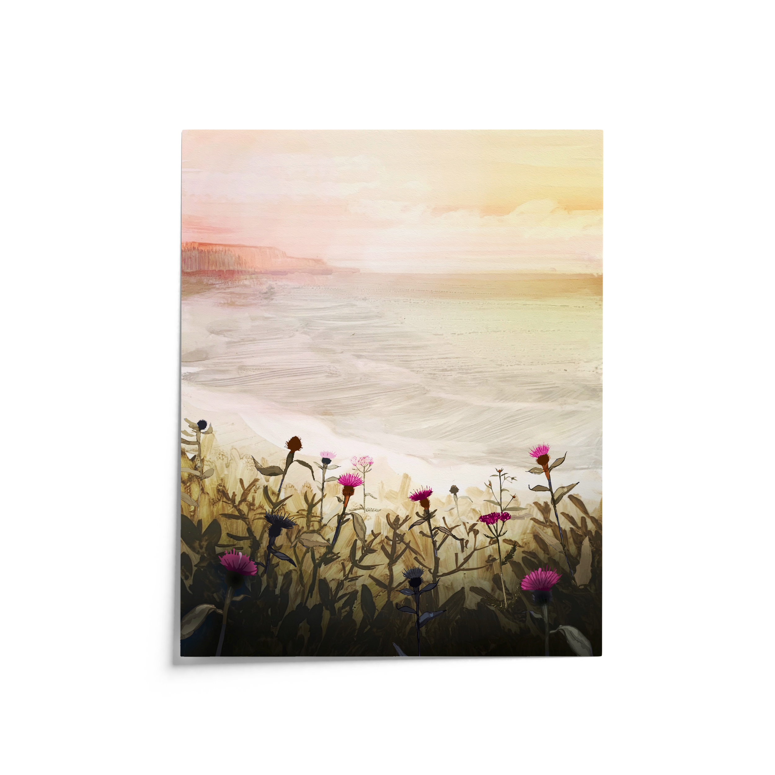 Painting of pink and purple knapweed flowers in the foreground, overlooking ocean waves and cliffs at sunset – artwork by Briana Corr Scott