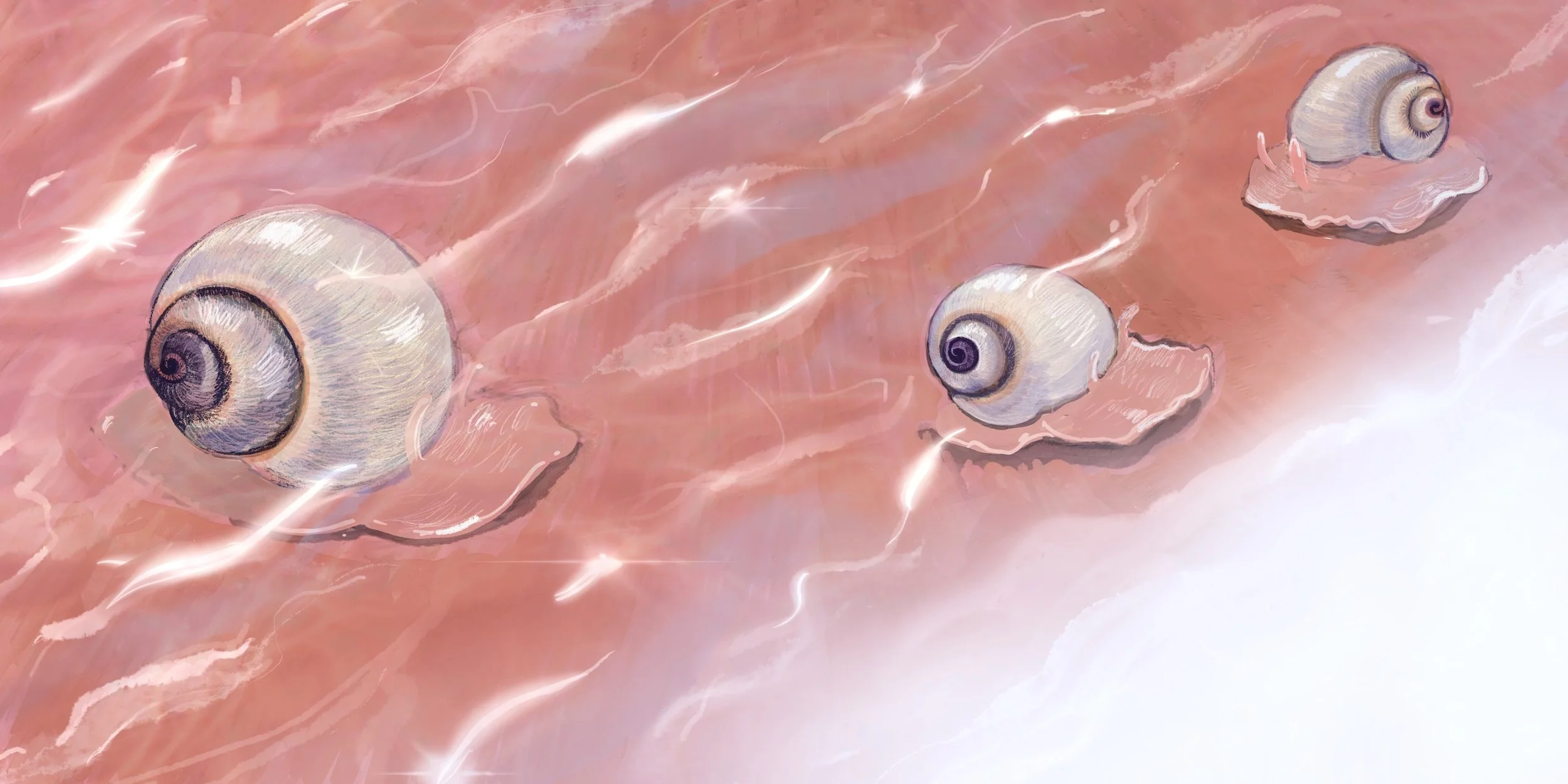 moon-snails-briana-corr-scott