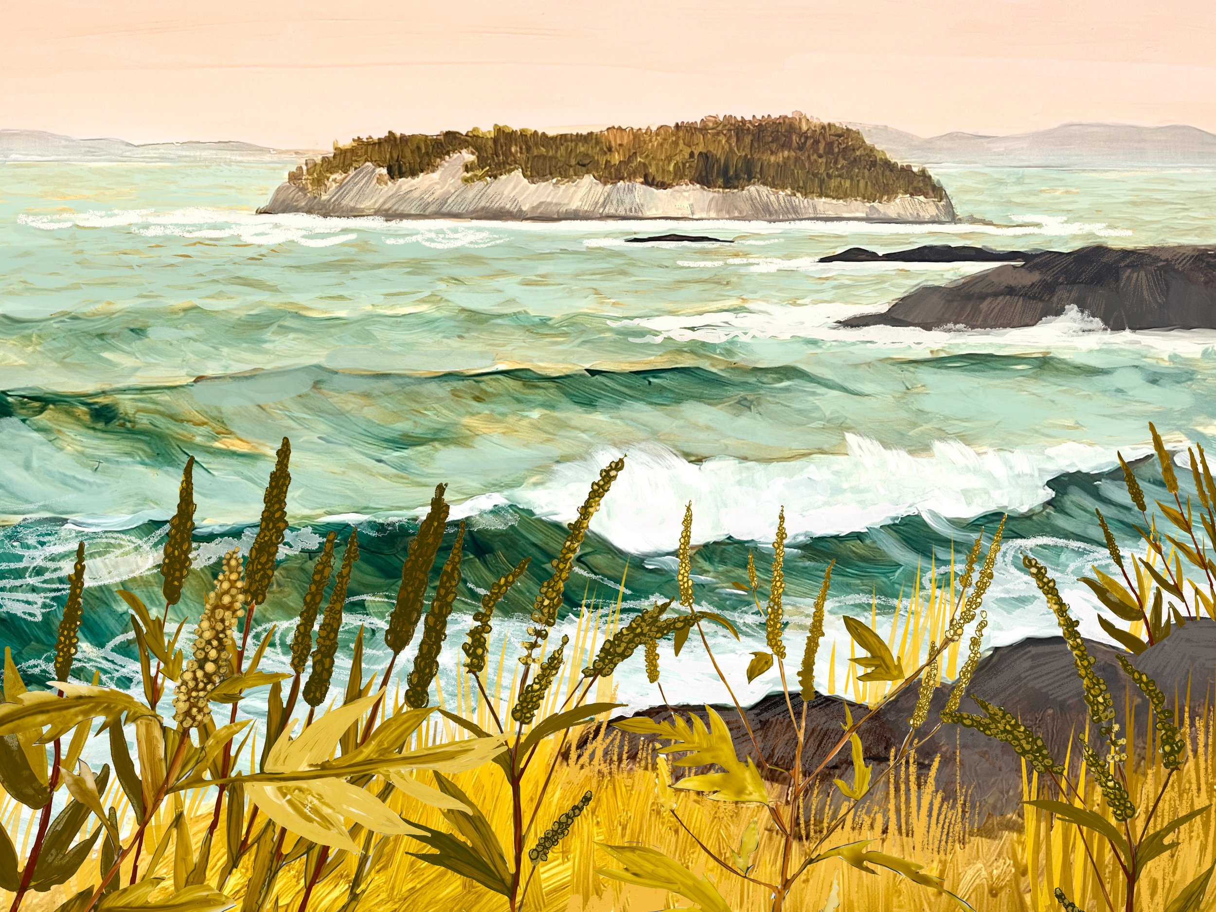 Wild Island