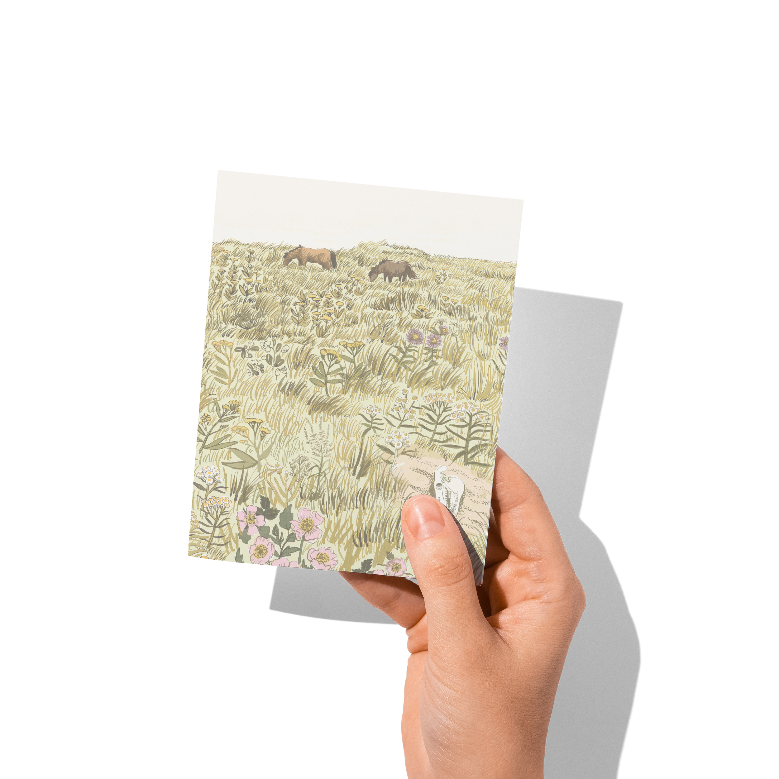 Illustrated greeting card of Sable Island wild horses grazing in a dune meadow filled with flowers and grasses, with a horse skull in the foreground – artwork by Briana Corr Scott