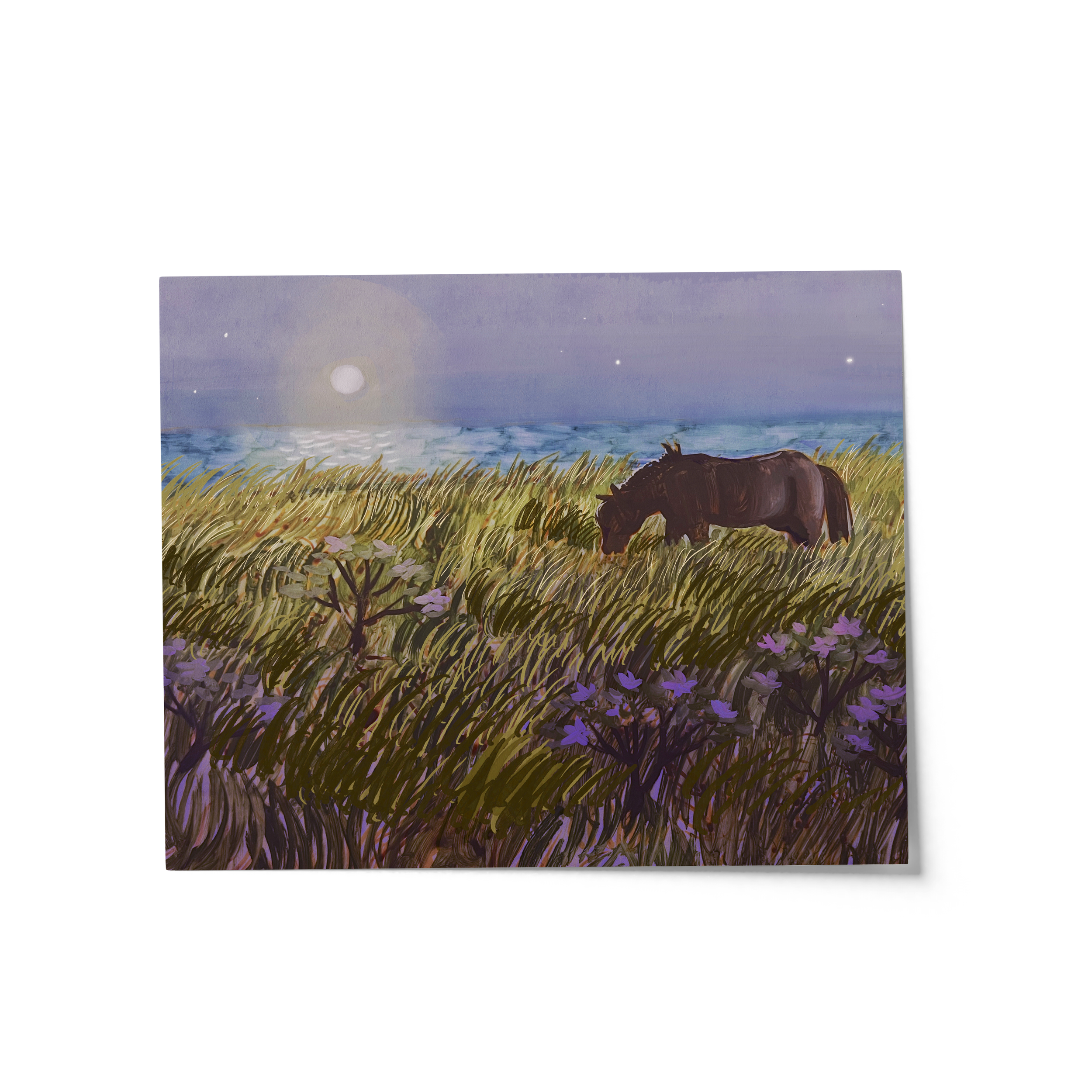 Sable Island horse at night painted by Briana Corr Scott