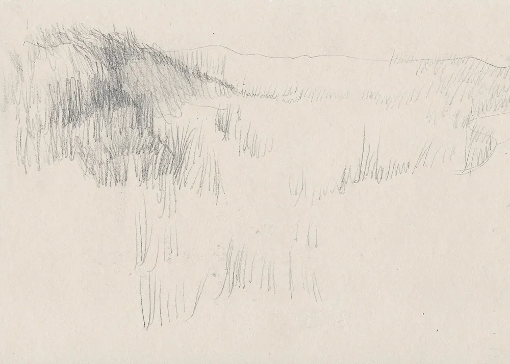 Sable Island Sketchbook / DRIFT