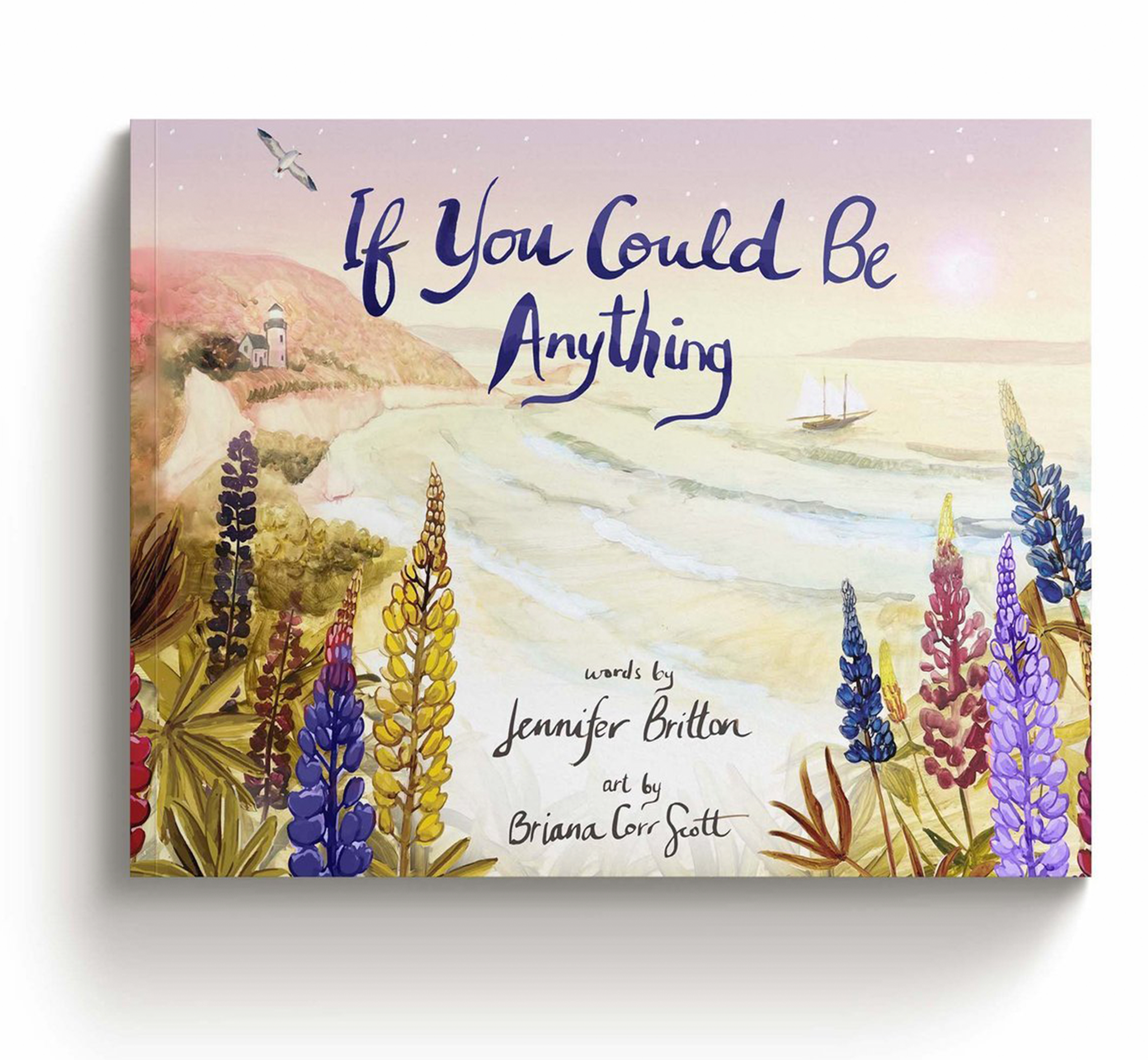 if-you-could-be-anything-briana-corr-scott.png