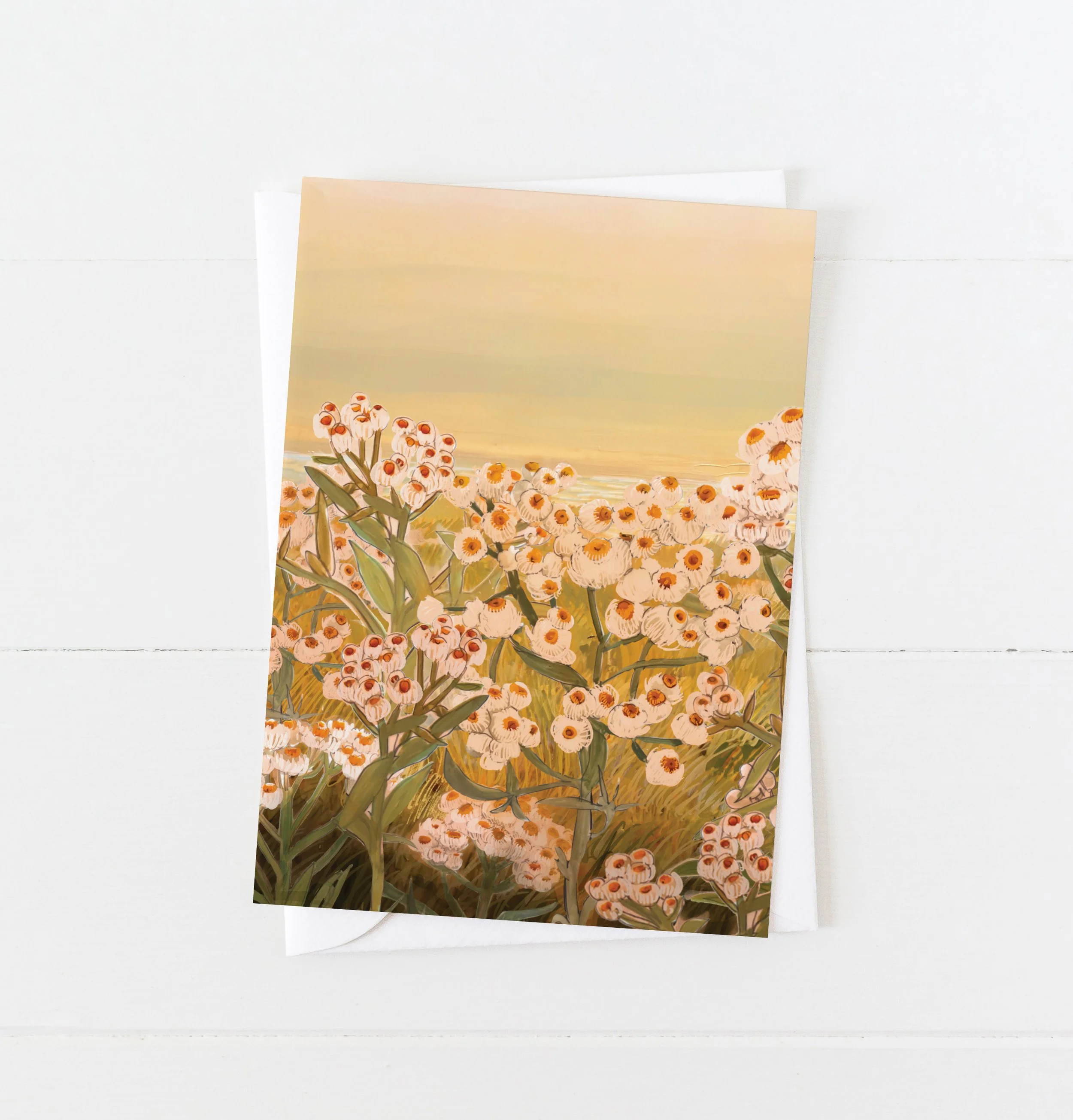 Greeting card illustration of pearly everlasting wildflowers glowing in golden light beside the ocean, with soft sunset tones – artwork by Briana Corr Scott