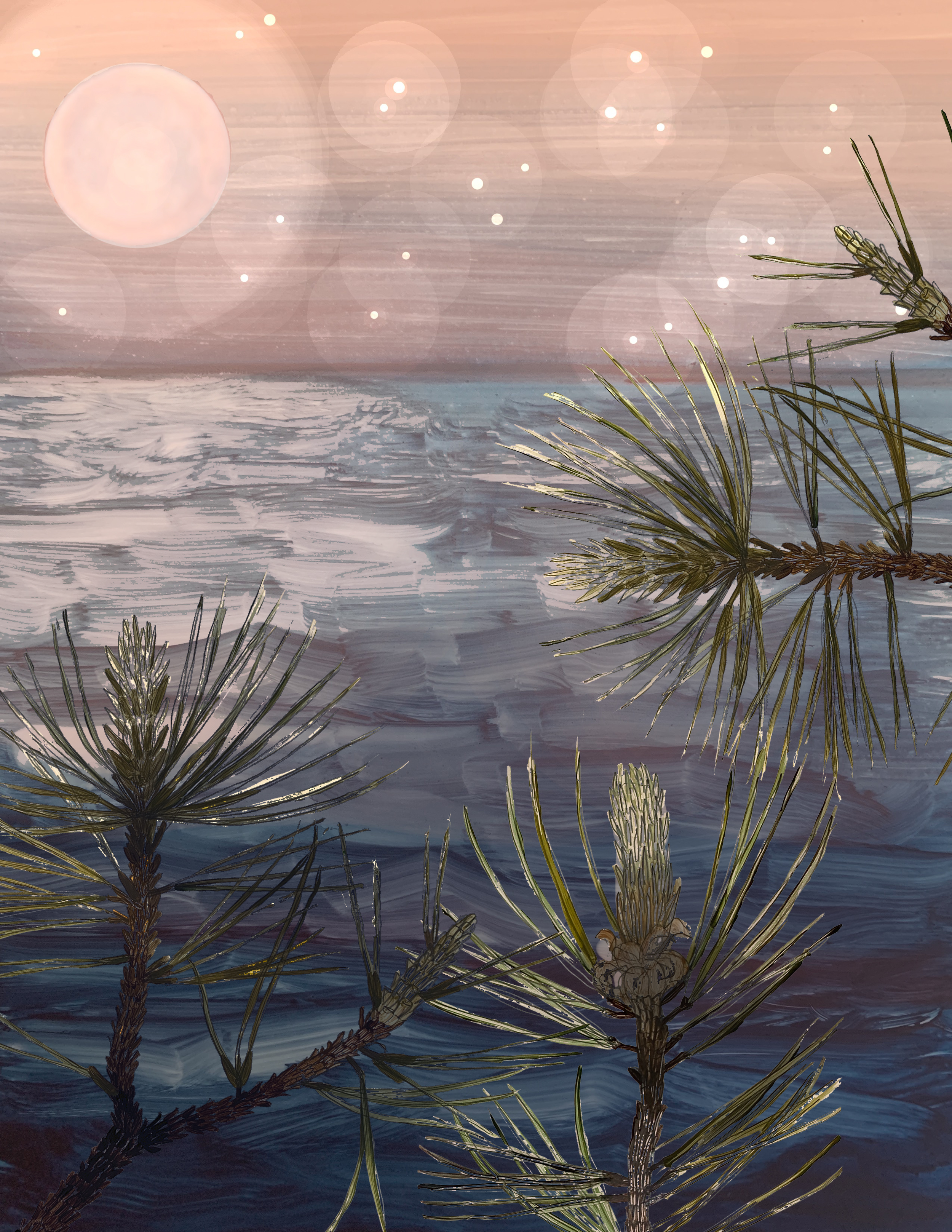 Pines at Night