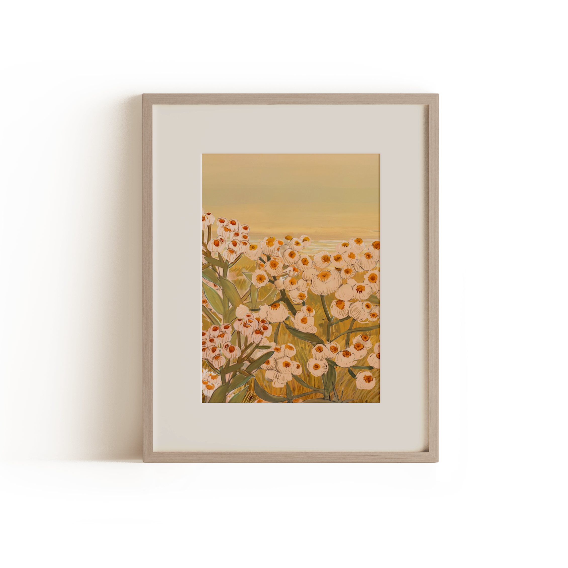 "Pearly Everlasting" botanical art print featuring clusters of soft white and pink wildflowers with an orange yellow glowing sky archival-quality illustration by Briana Corr Scott (Copy)