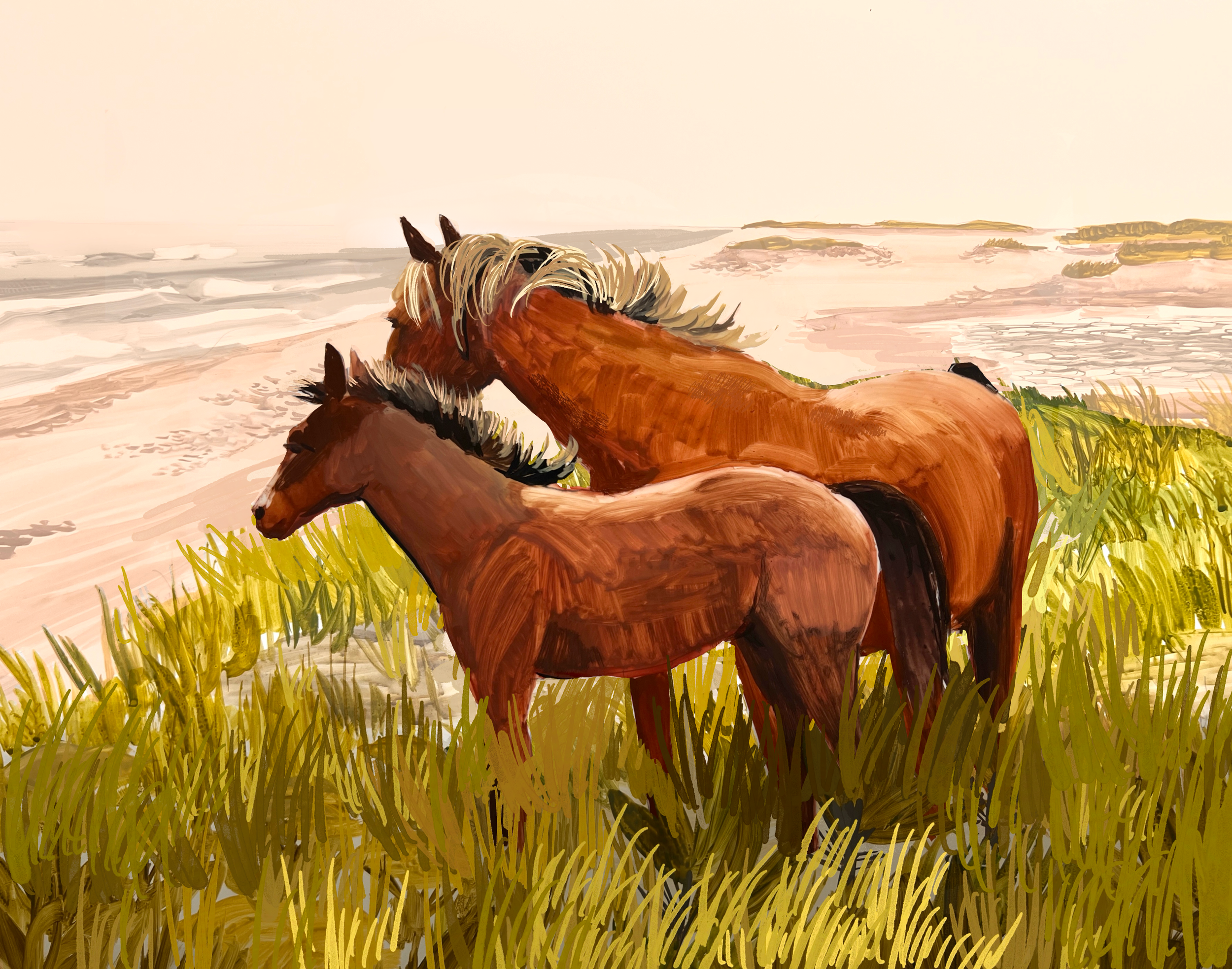 Sable Island Horses