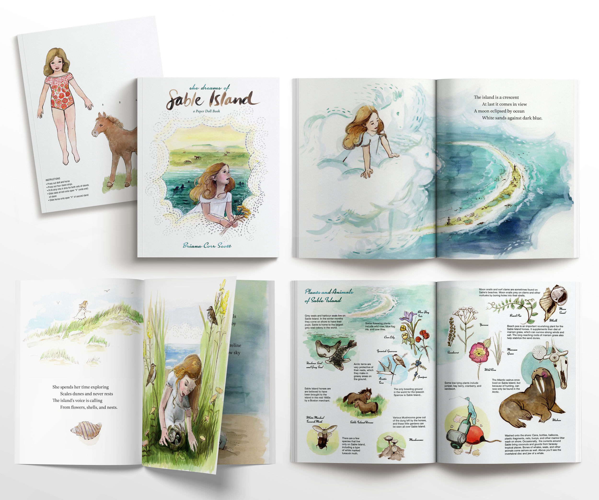 nterior illustration of girl dreaming beside the sea – from She Dreams of Sable Island