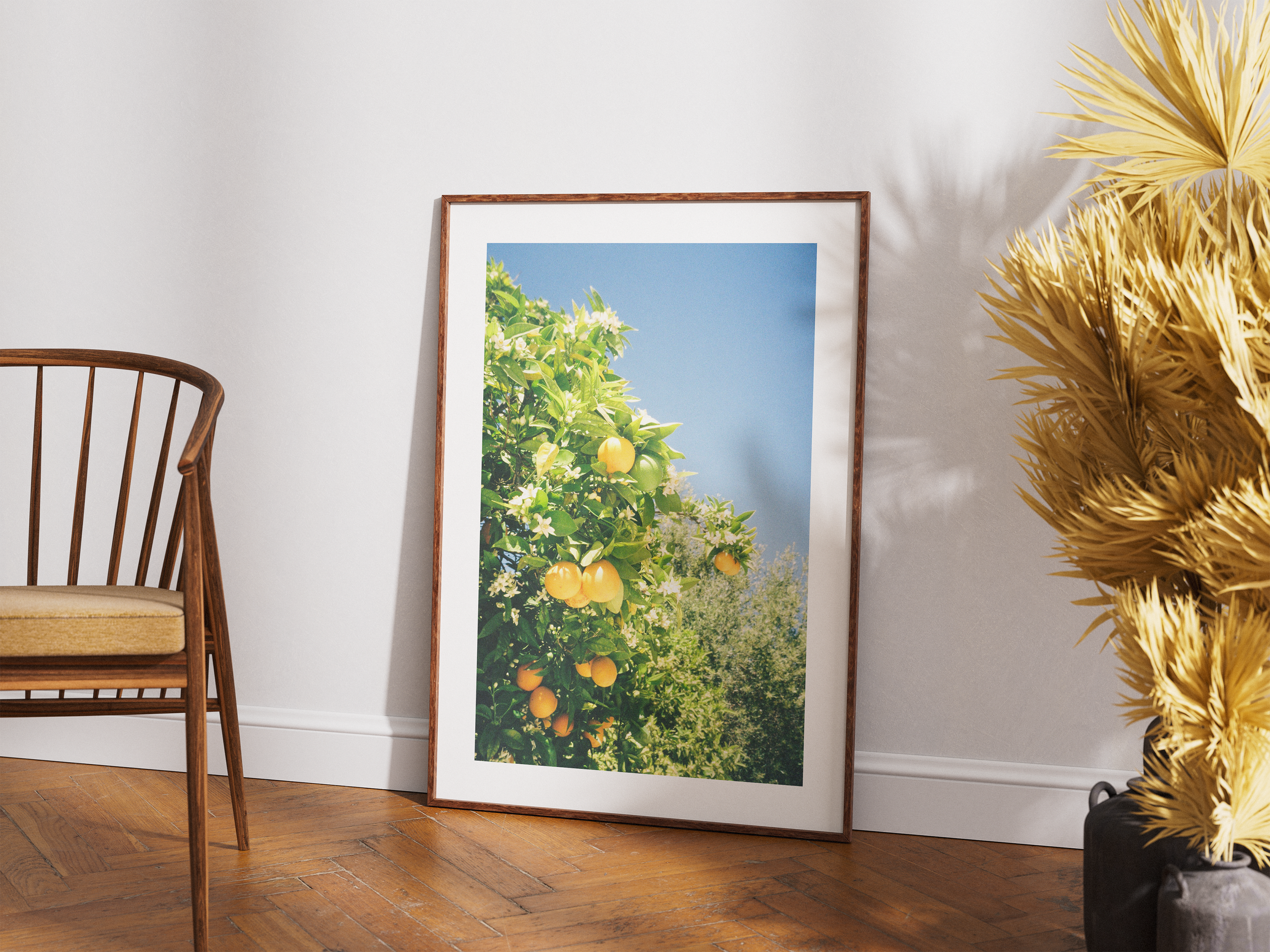 Citrus