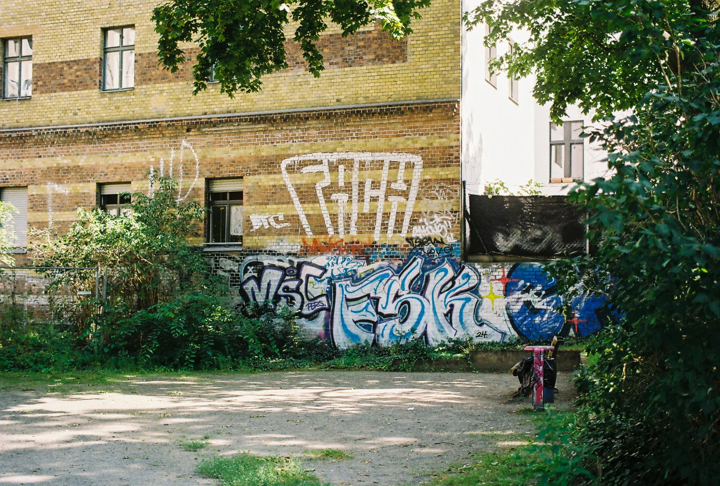 Graffiti art on a brick wall in an urban setting, with trees and greenery in the foreground and a multi-story building in the background.