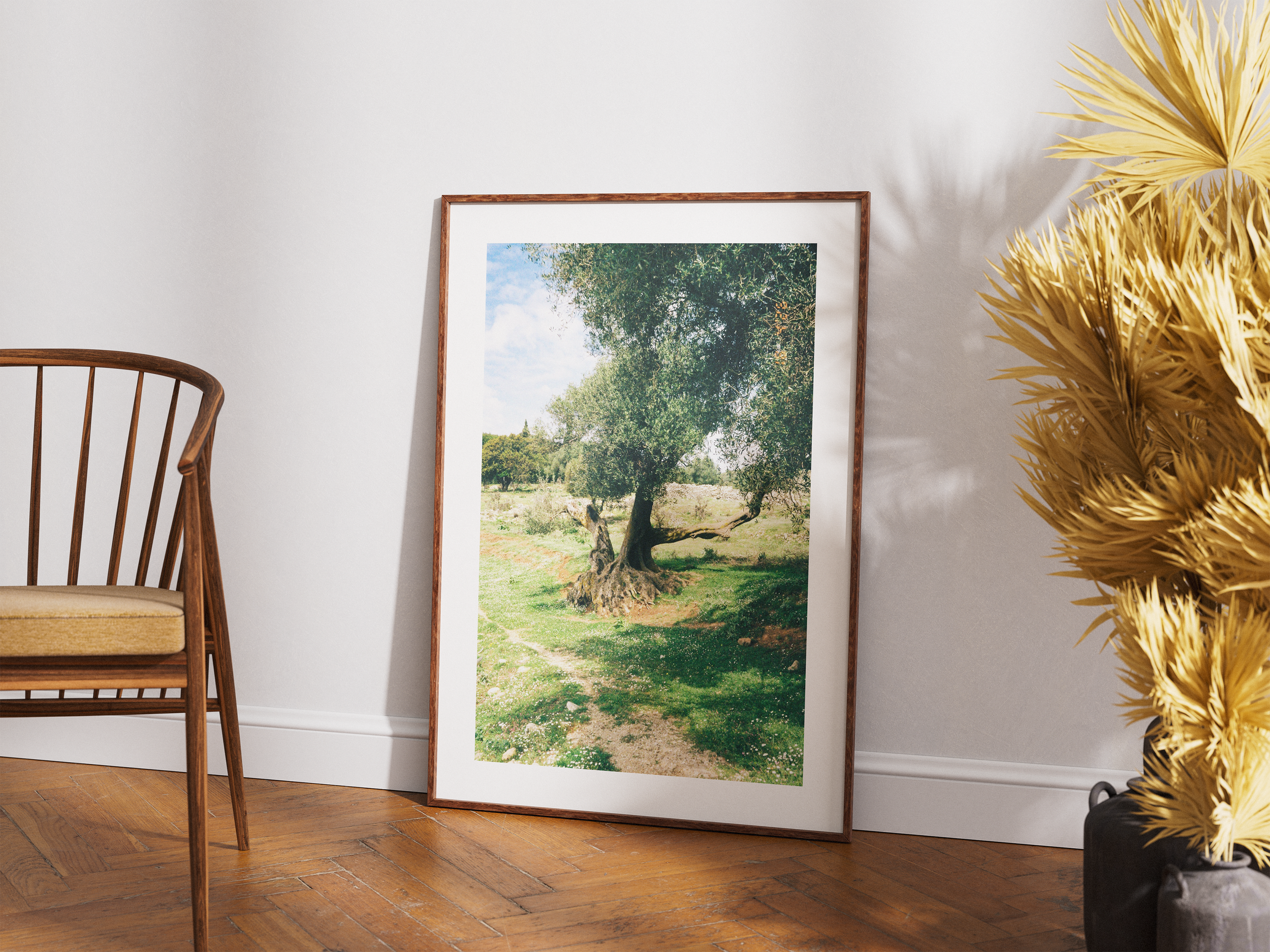 Olive tree