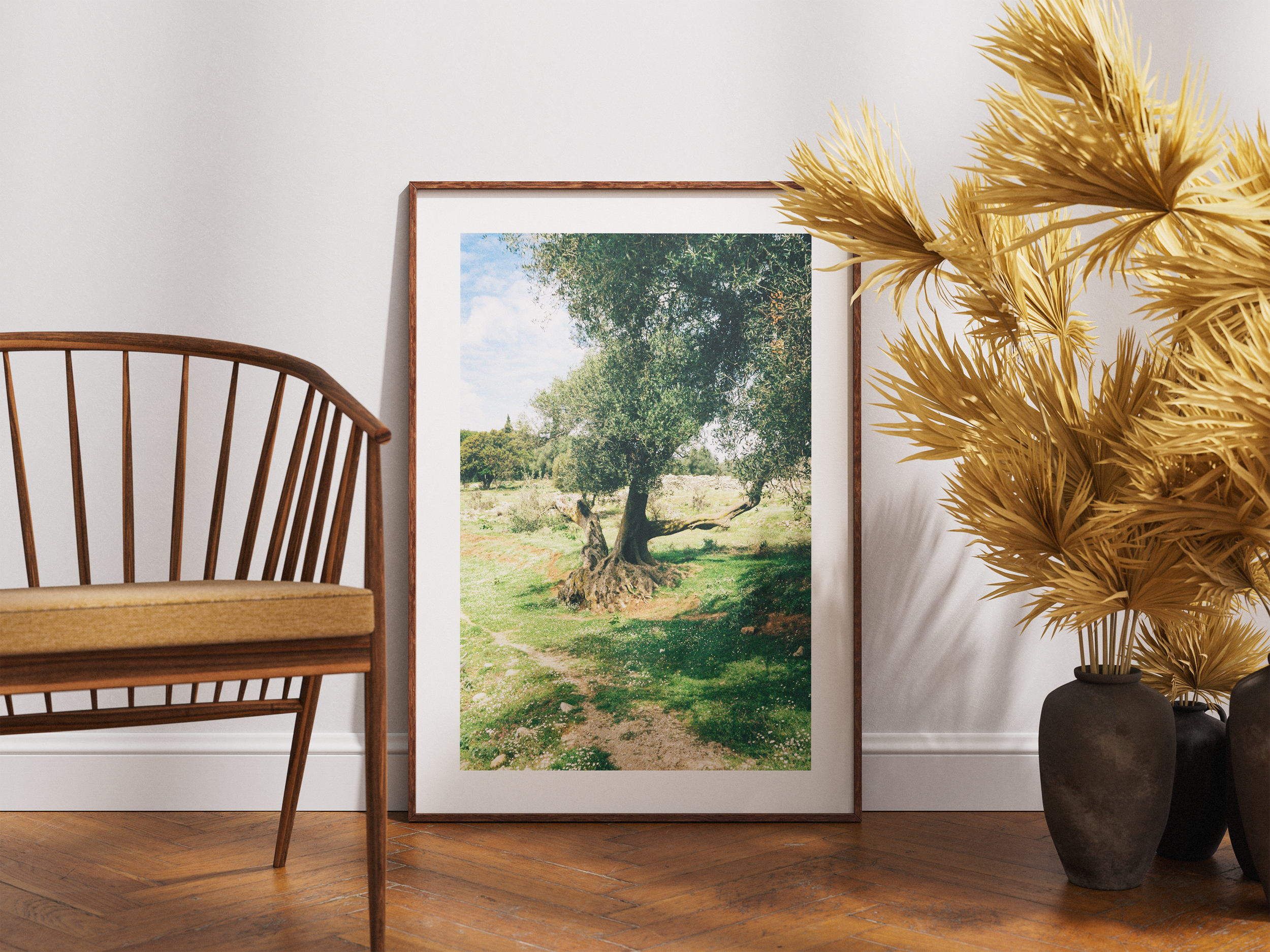 olivetree2.png