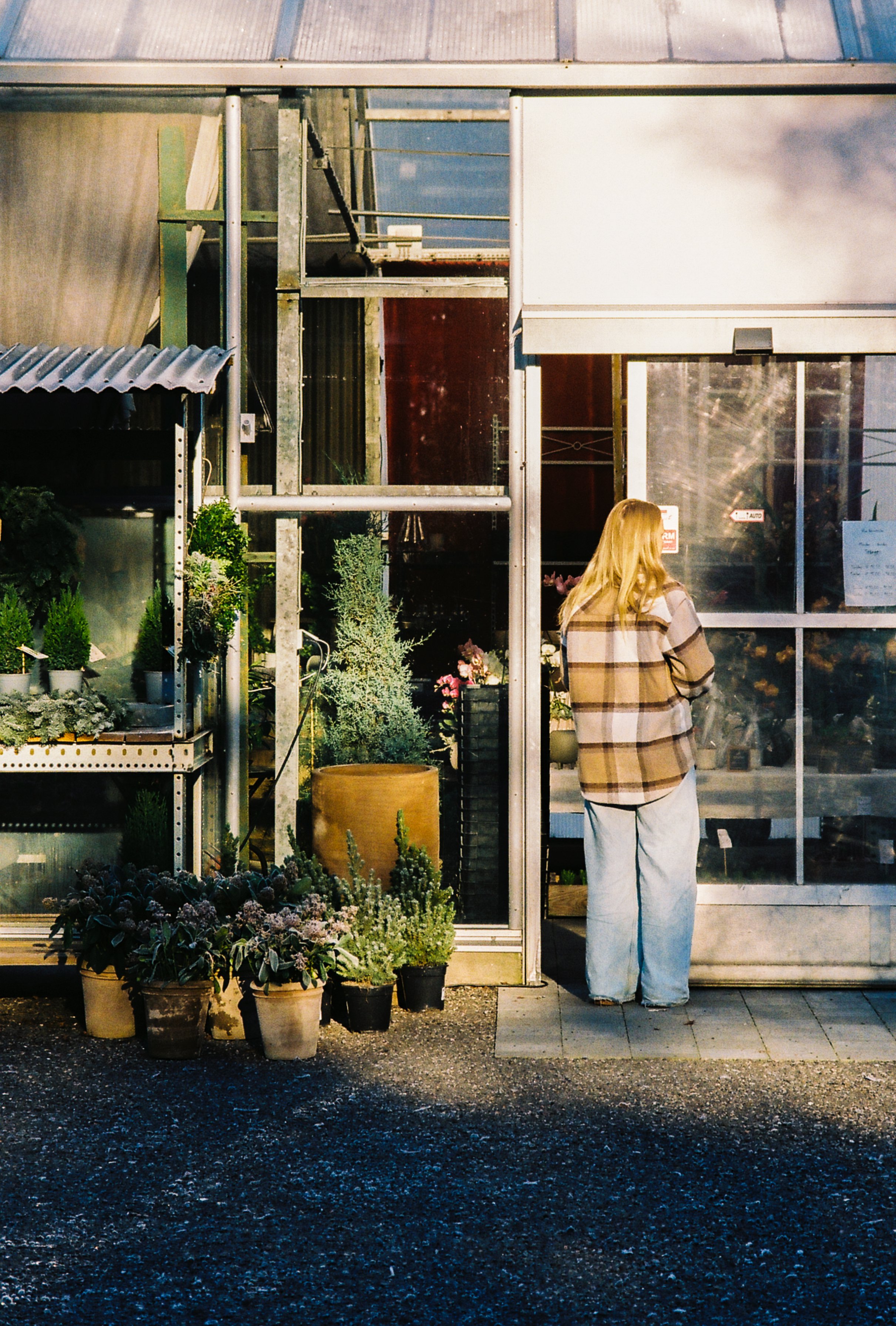 A woman with blond hair, wearing a plaid jacket and light-colored pants, standing outside a flower shop or greenhouse, looking into the window.