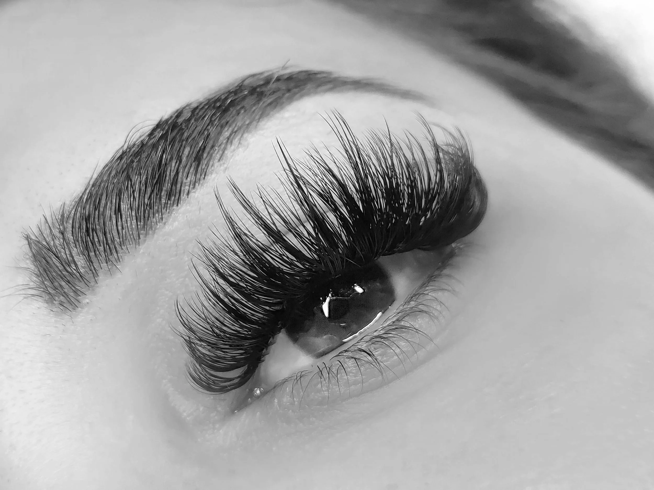 Close-up of a person's eye with long, voluminous eyelash extensions, monochrome photo.
