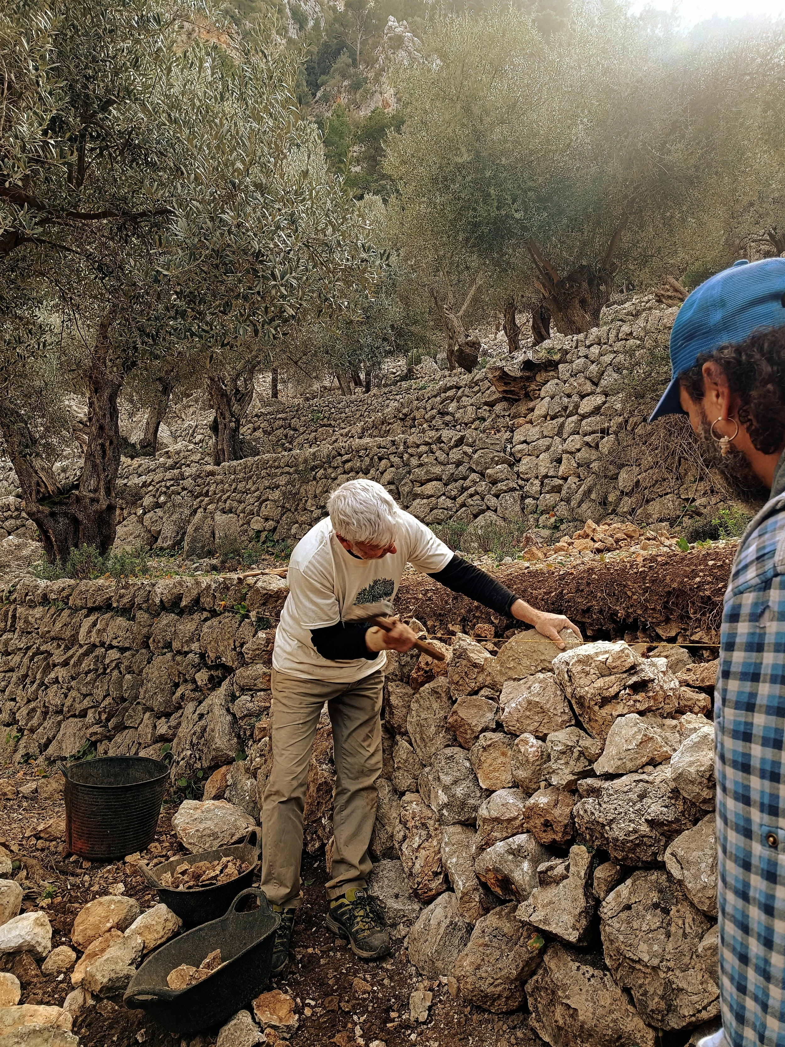 corporate volunteering in the Tramuntana with RAICES Mallorca