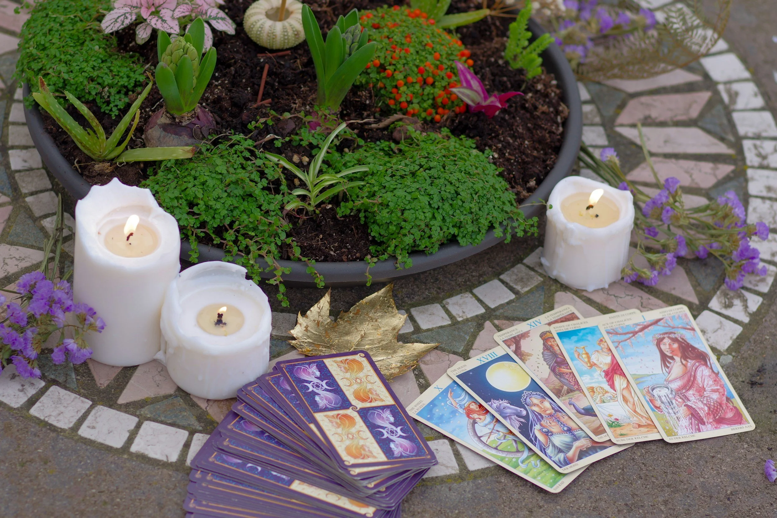 Tarot cards spread out on a patterned mosaic surface beside a potted plant with colorful flowers, surrounded by lit white candles, purple flowers, and decorative gold leaves.
