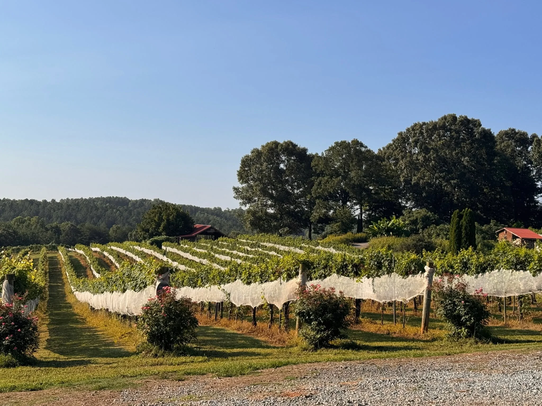 SmithwickCommunicationsMillSpringMondayOvermountainVineyards3.jpg